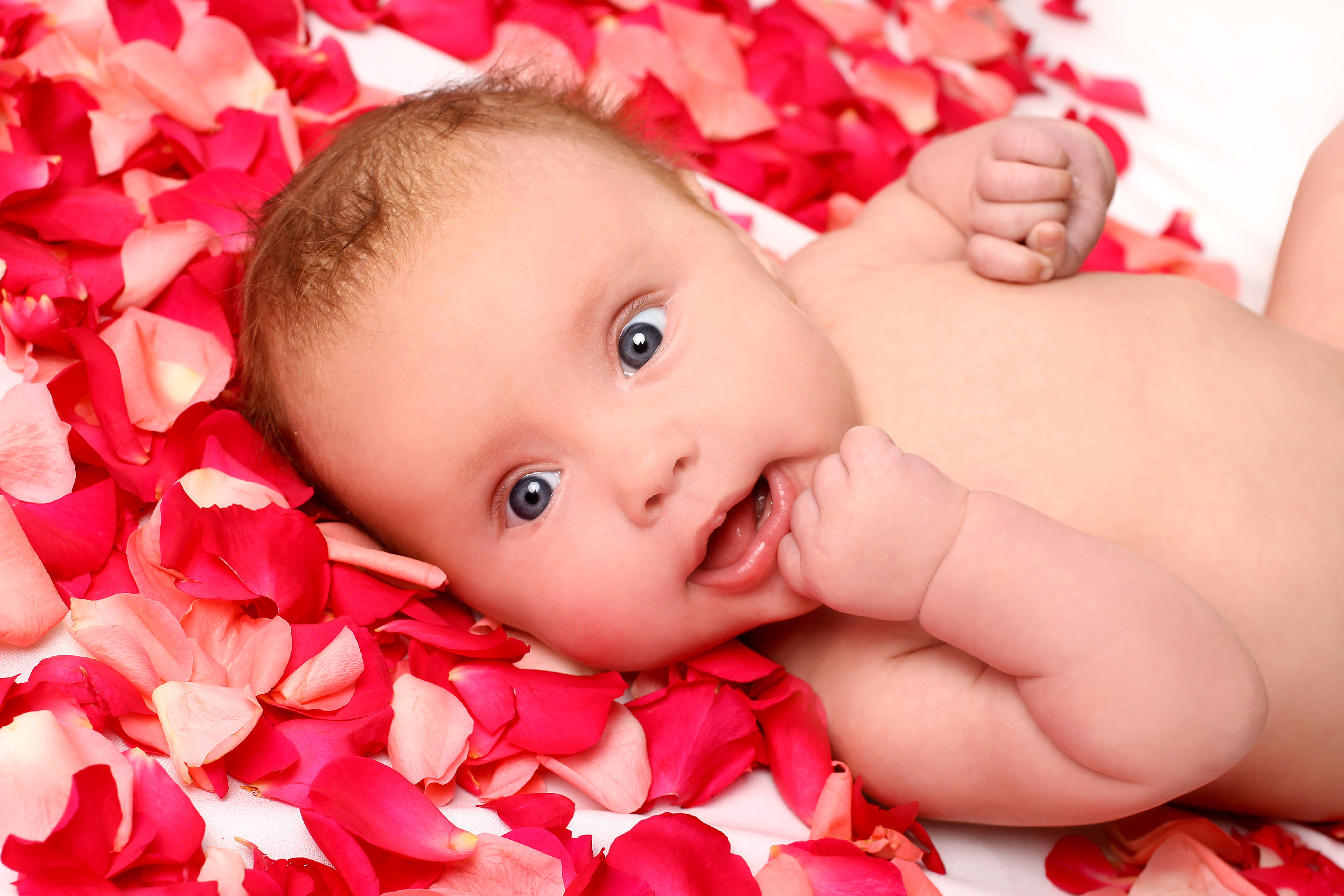 Baby lying on rose petals HD Wallpaper