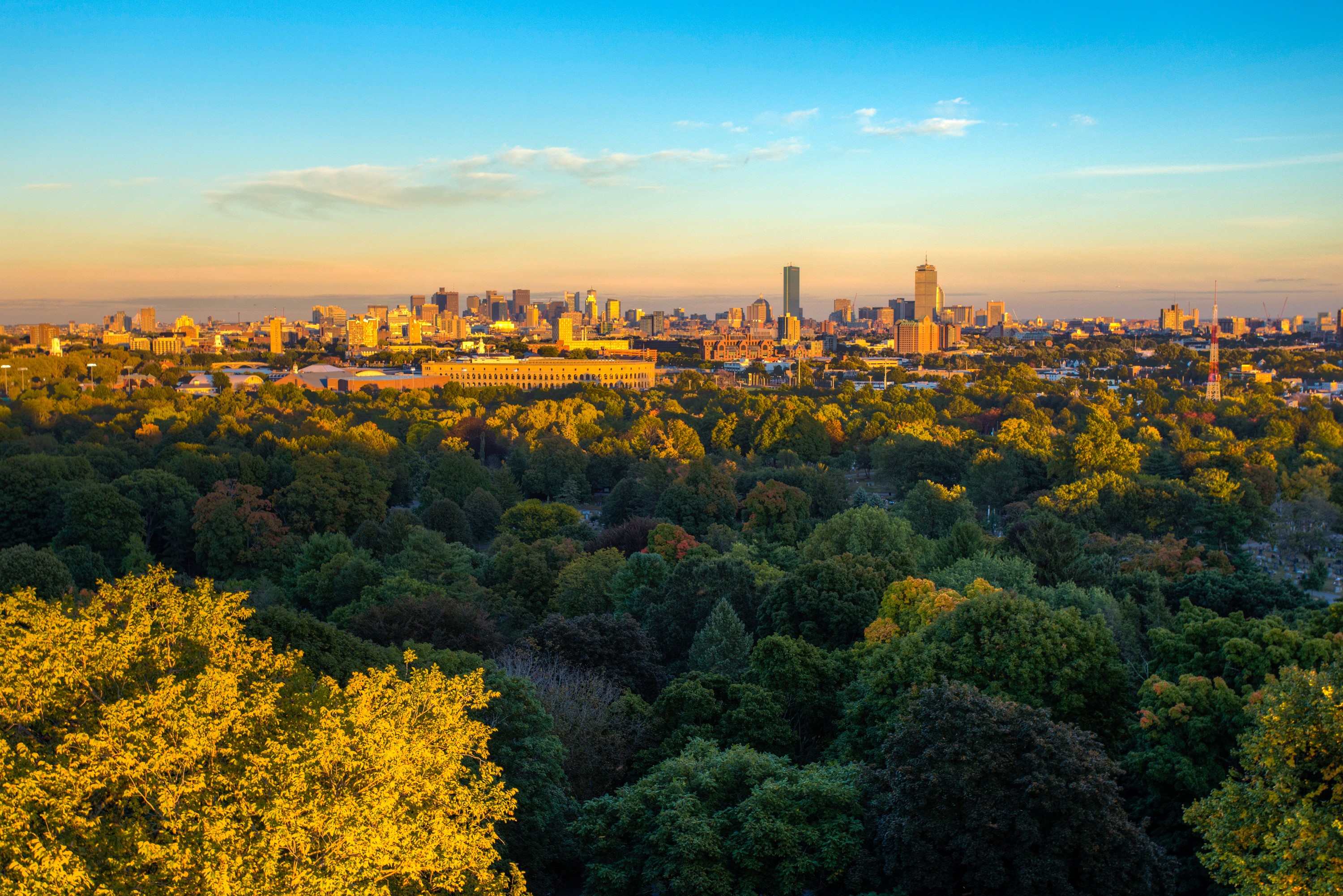 Boston Skyline Over Trees at Sunset HD Wallpaper