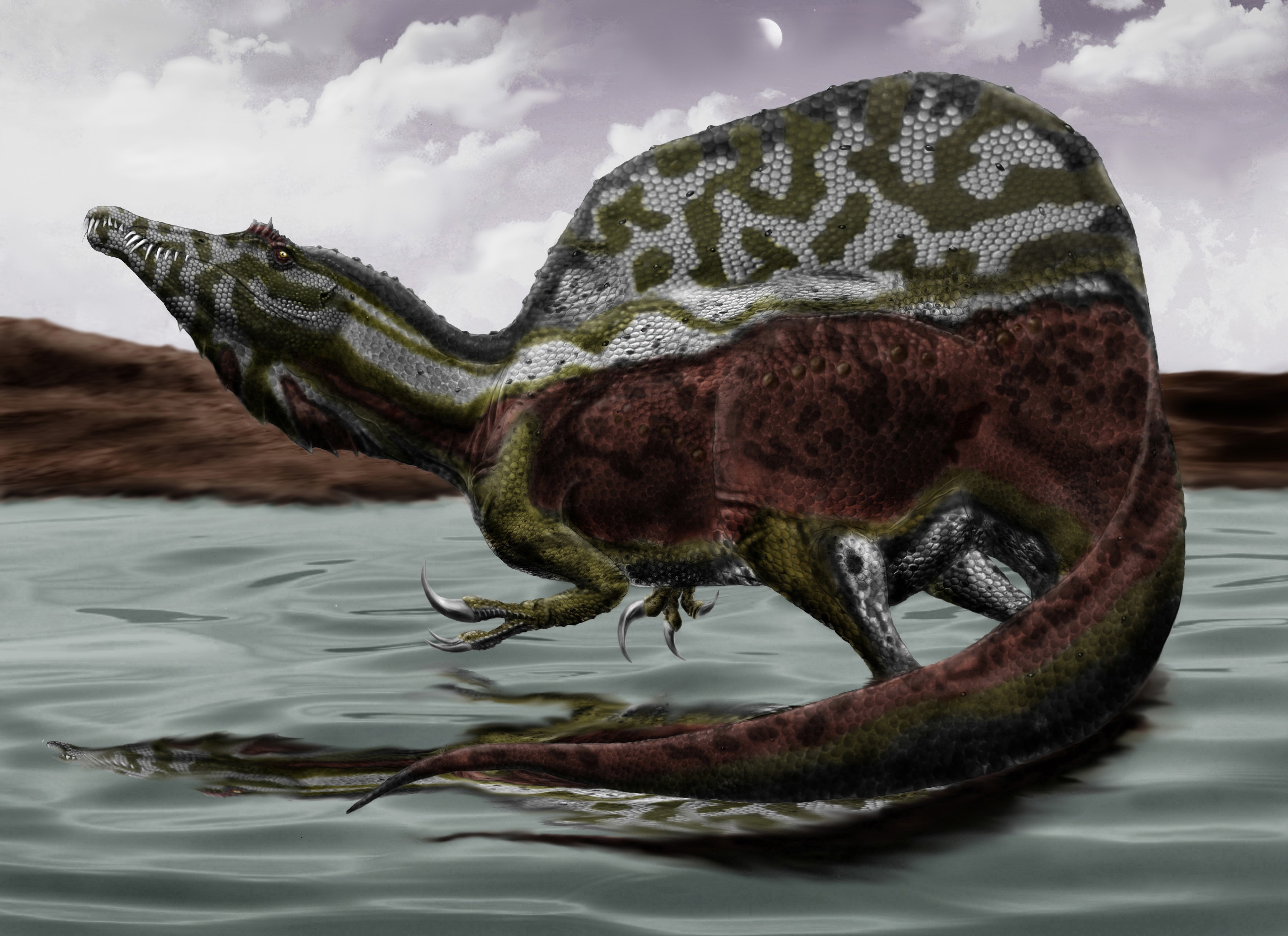 Spinosaurus dinosaur in shallow water HD Wallpaper