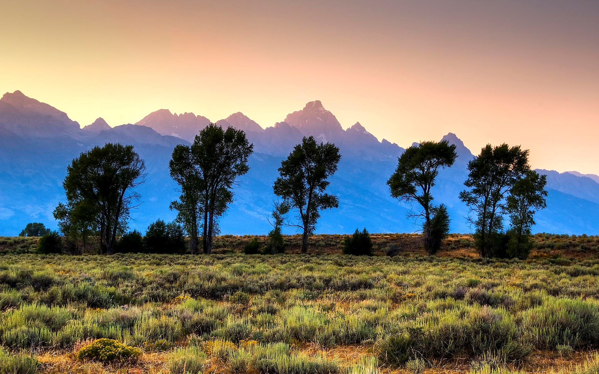Trees in front of mountains at sunset HD Wallpaper