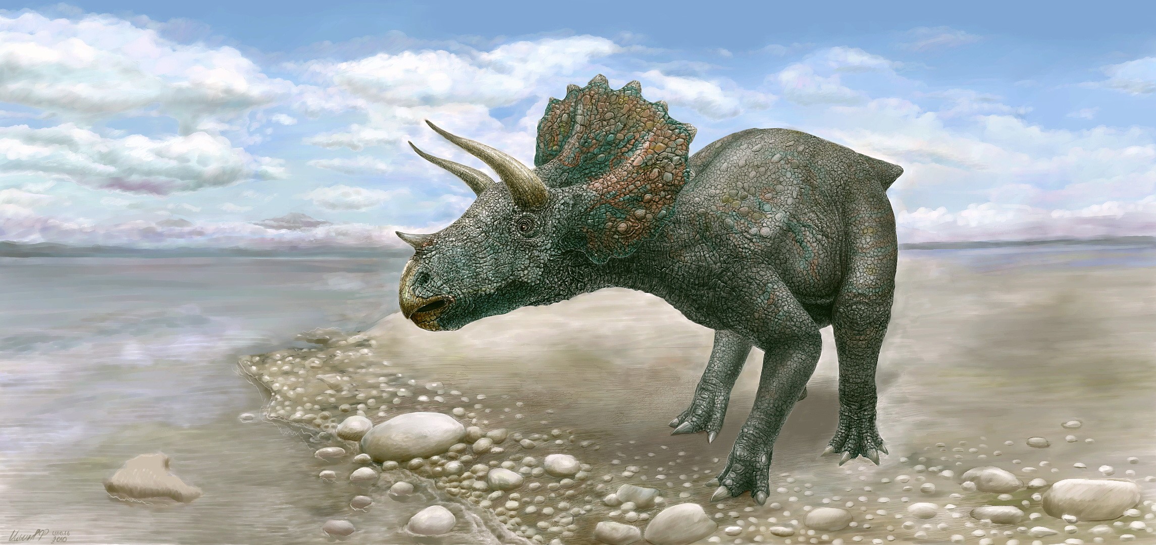 Triceratops dinosaur on a rocky shore HD Wallpaper