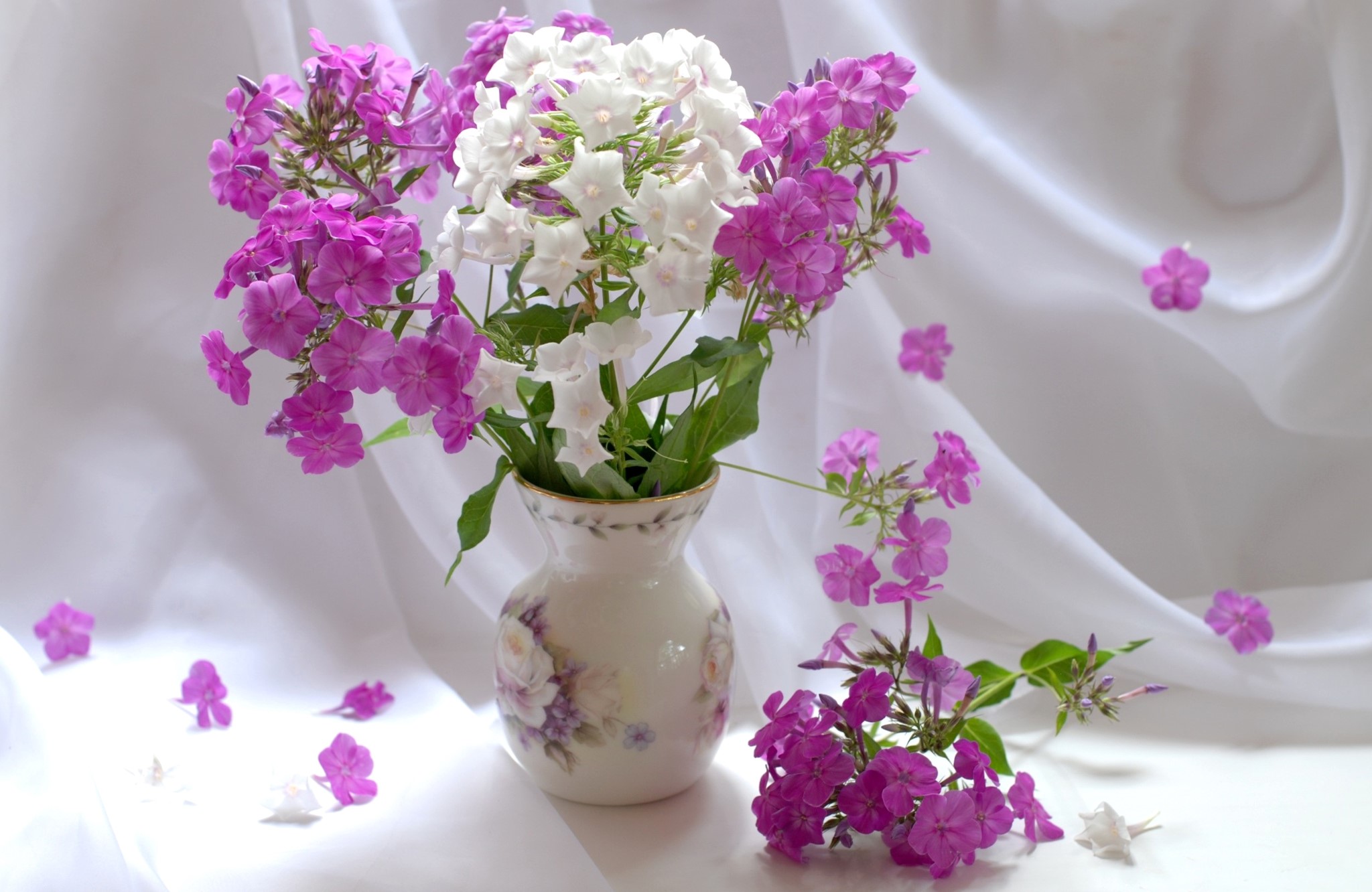 Bouquet of pink and white phlox in a vase HD Wallpaper