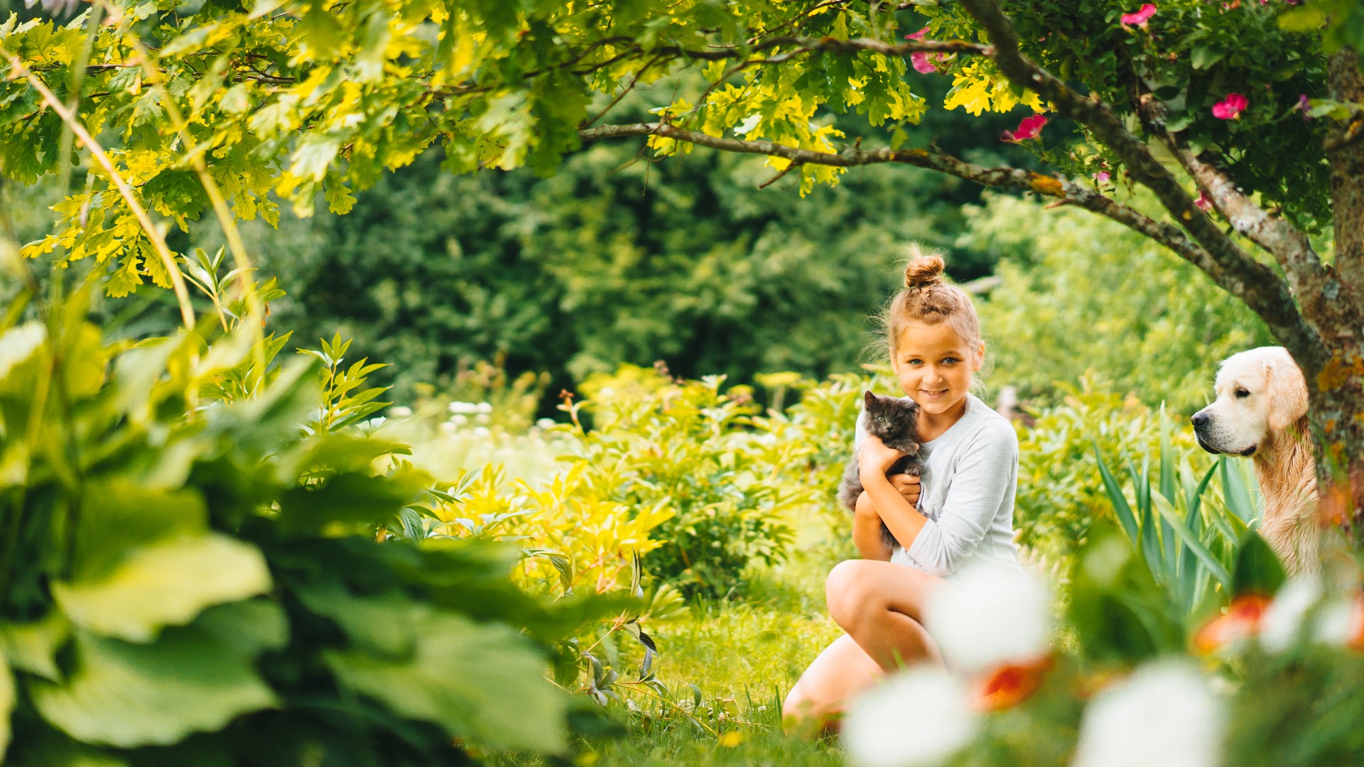 Girl holding kitten with golden retriever in garden HD Wallpaper