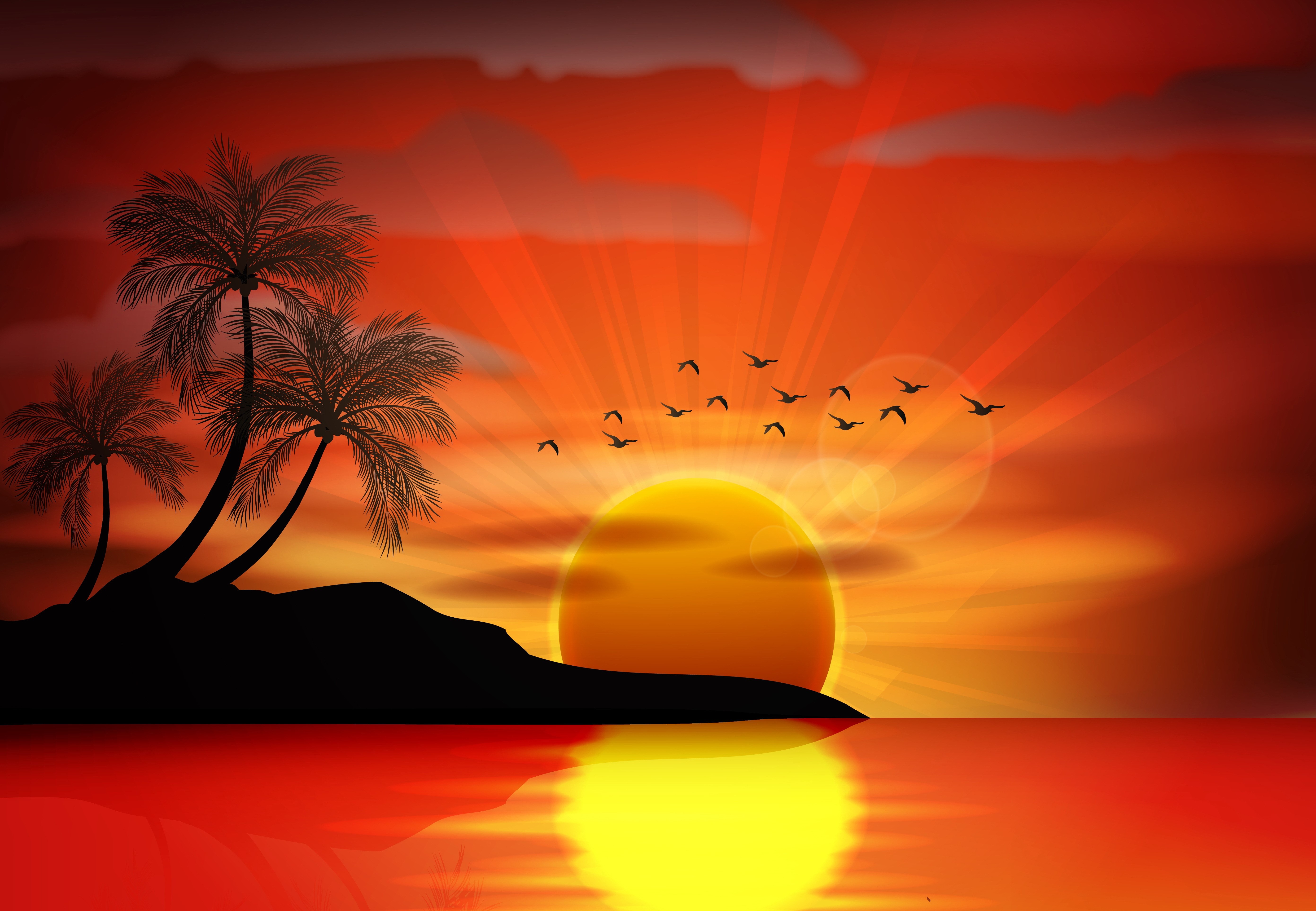 Sunset over the sea with palm trees and birds HD Wallpaper