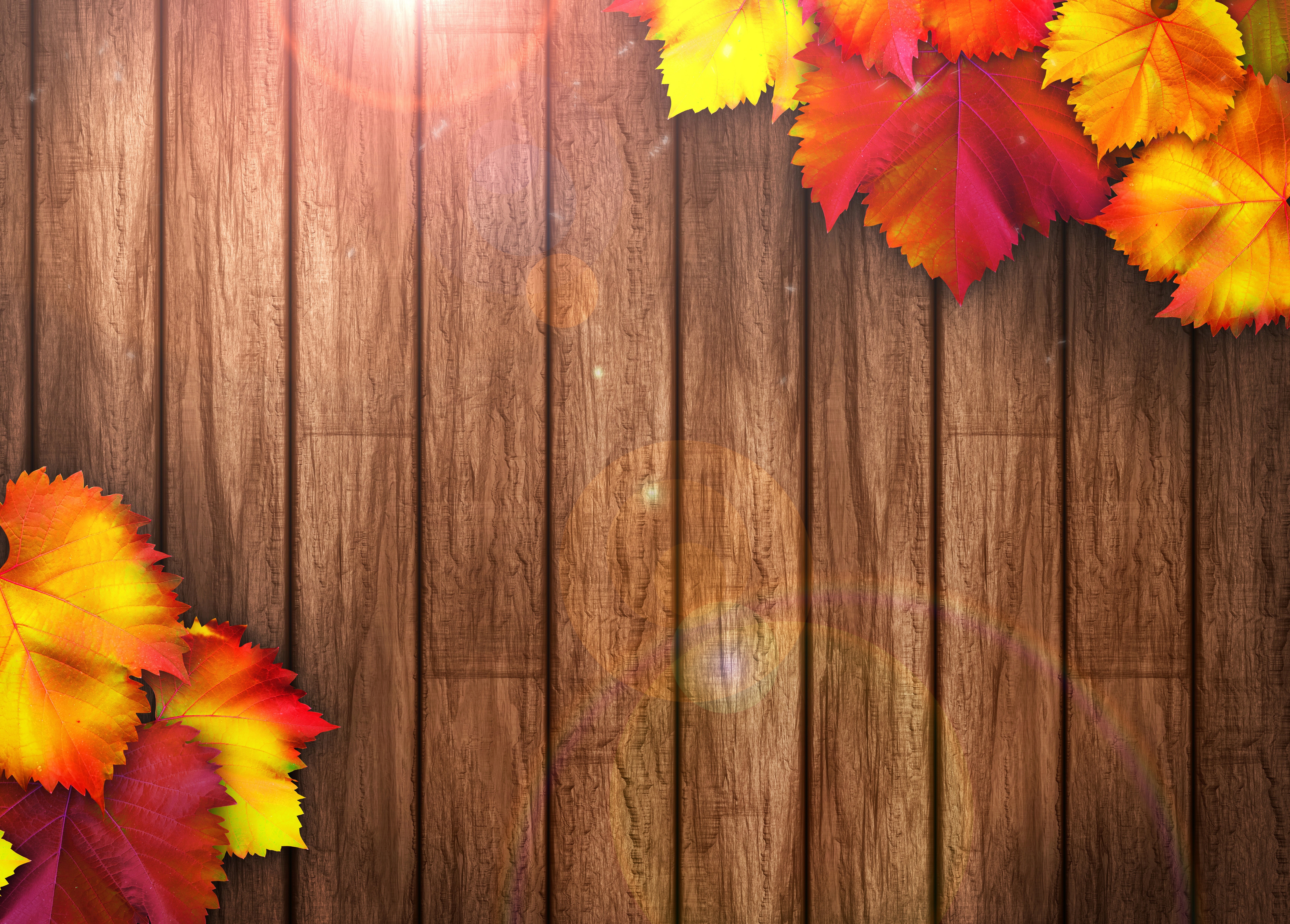Autumn Leaves on Wooden Texture HD Wallpaper