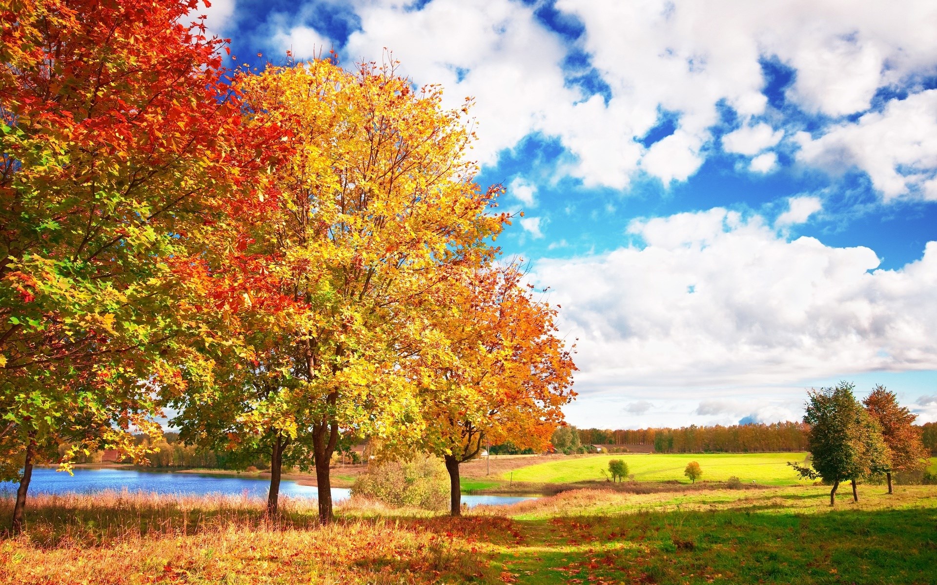 Autumn trees by a lake under a cloudy sky HD Wallpaper