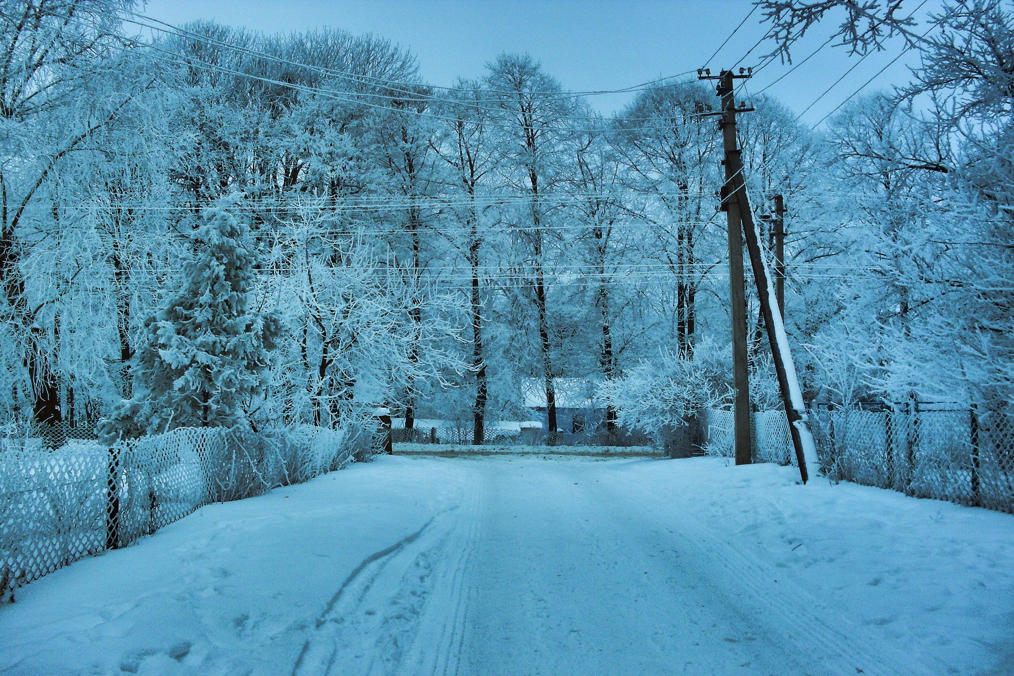 Snow covered trees and road in winter HD Wallpaper