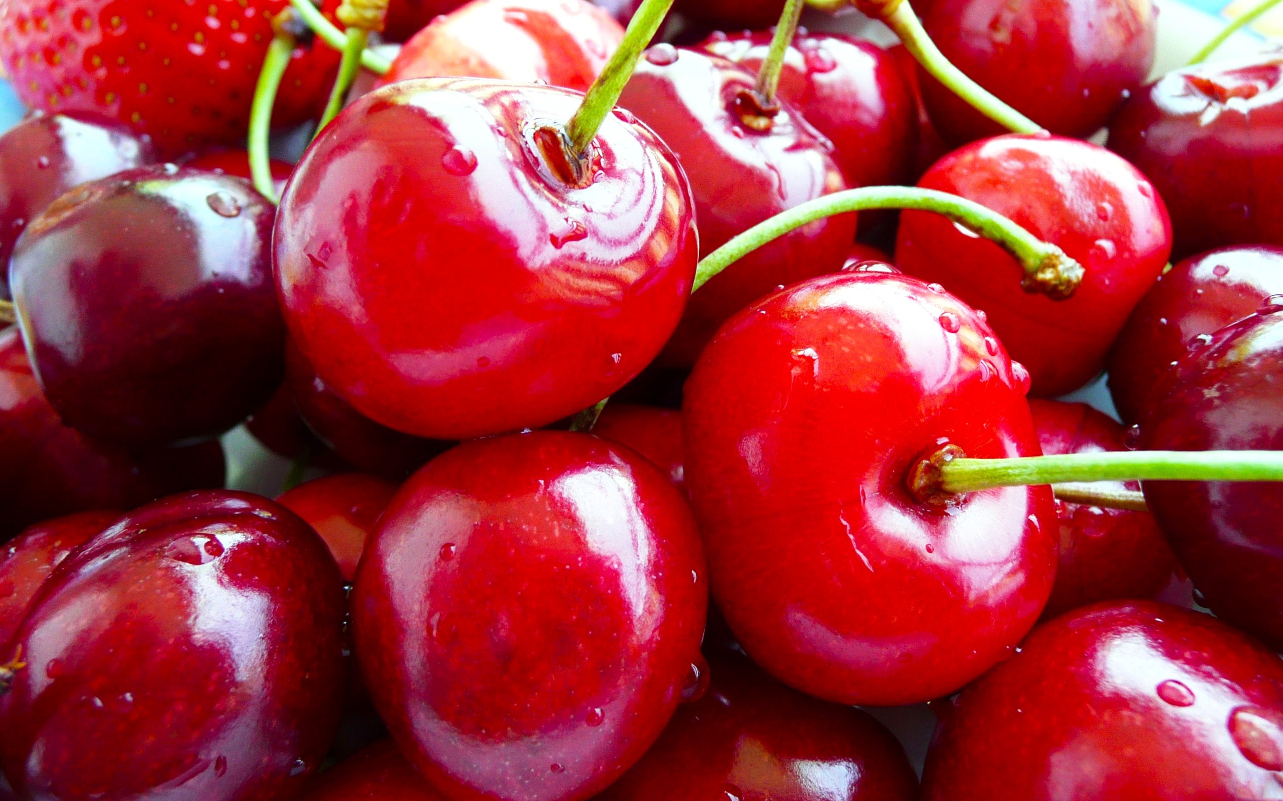 Close-up of fresh red cherries with water droplets HD Wallpaper