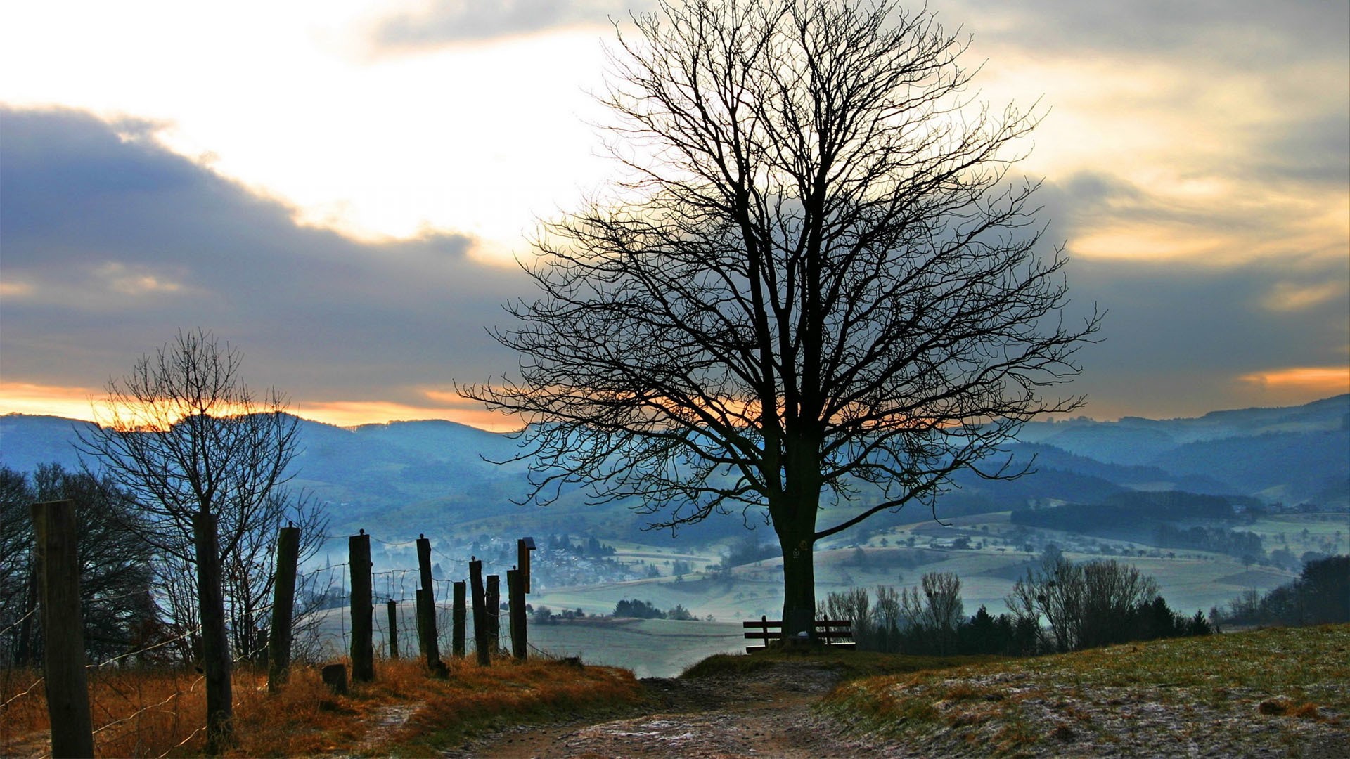 Bare tree on a hill overlooking a valley at sunset HD Wallpaper