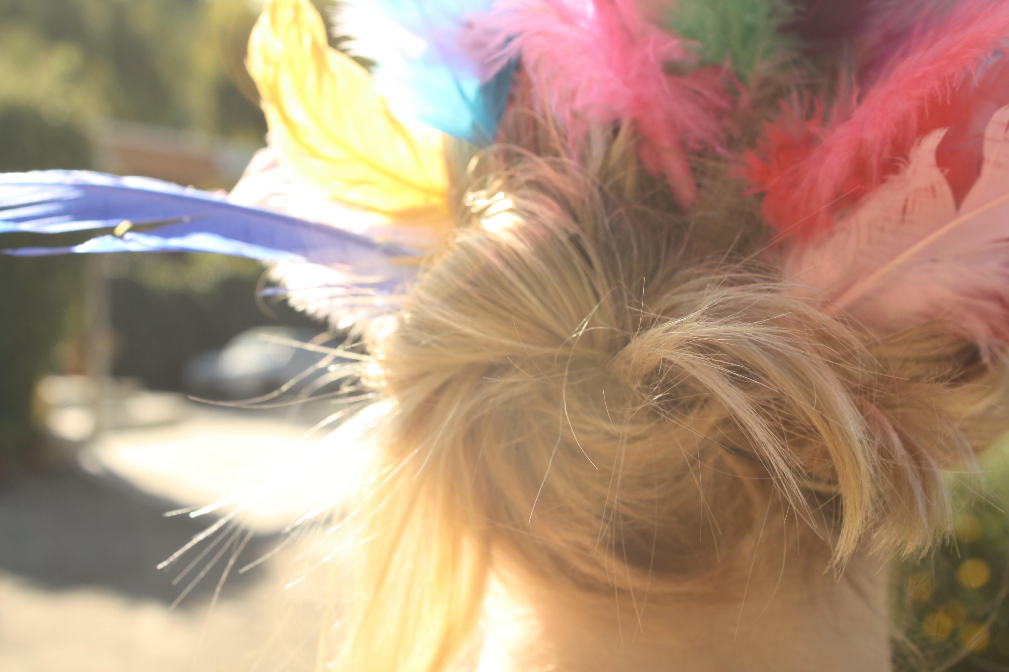 Blonde girl with colorful feathers in hair HD Wallpaper