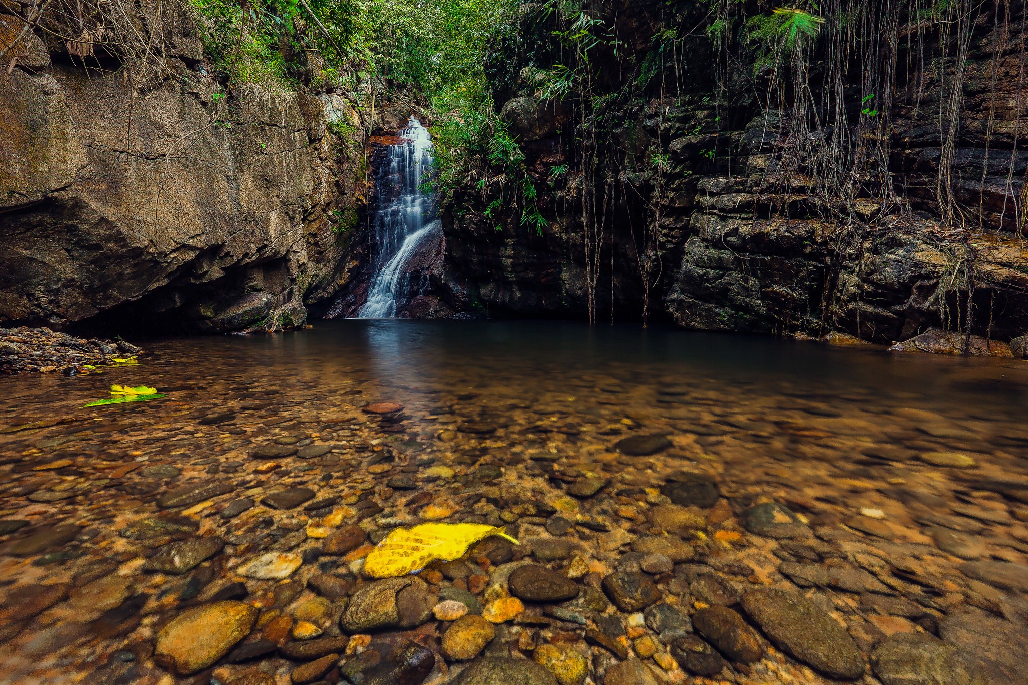 Waterfall cascading into a rocky pool with stones and leaves HD Wallpaper
