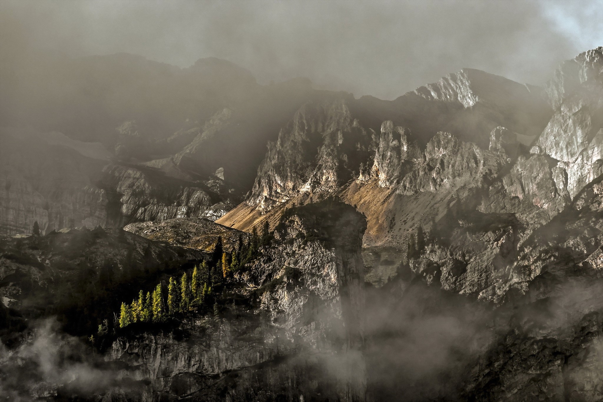 Misty mountains with rocky peaks and pine trees HD Wallpaper