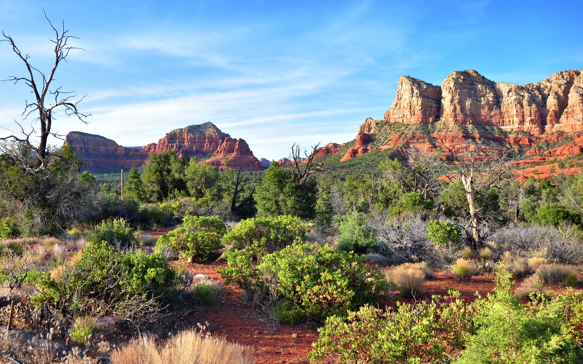 Red Rock Mountains and Desert Landscape HD Wallpaper