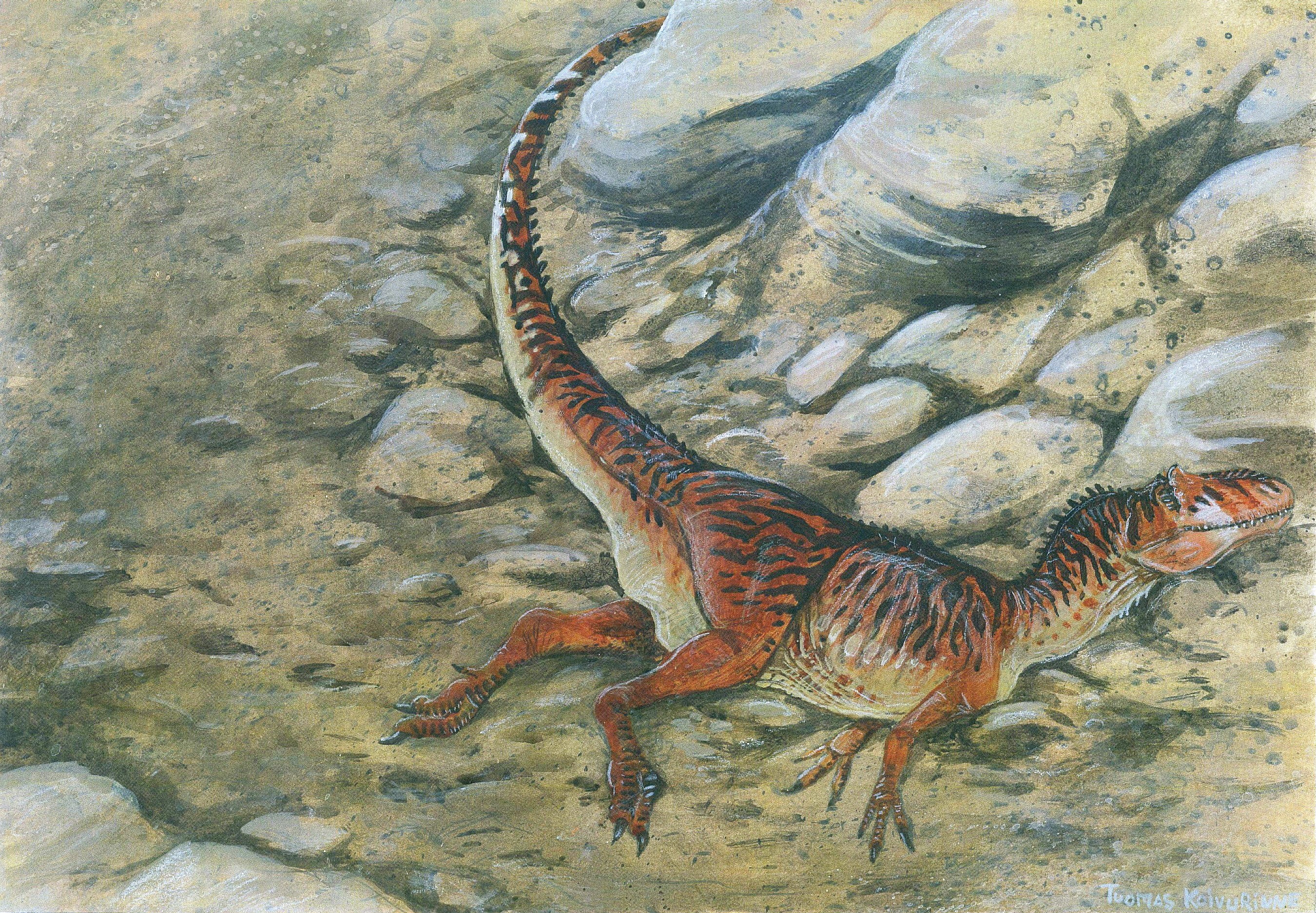 Allosaurus dinosaur in a rocky environment HD Wallpaper