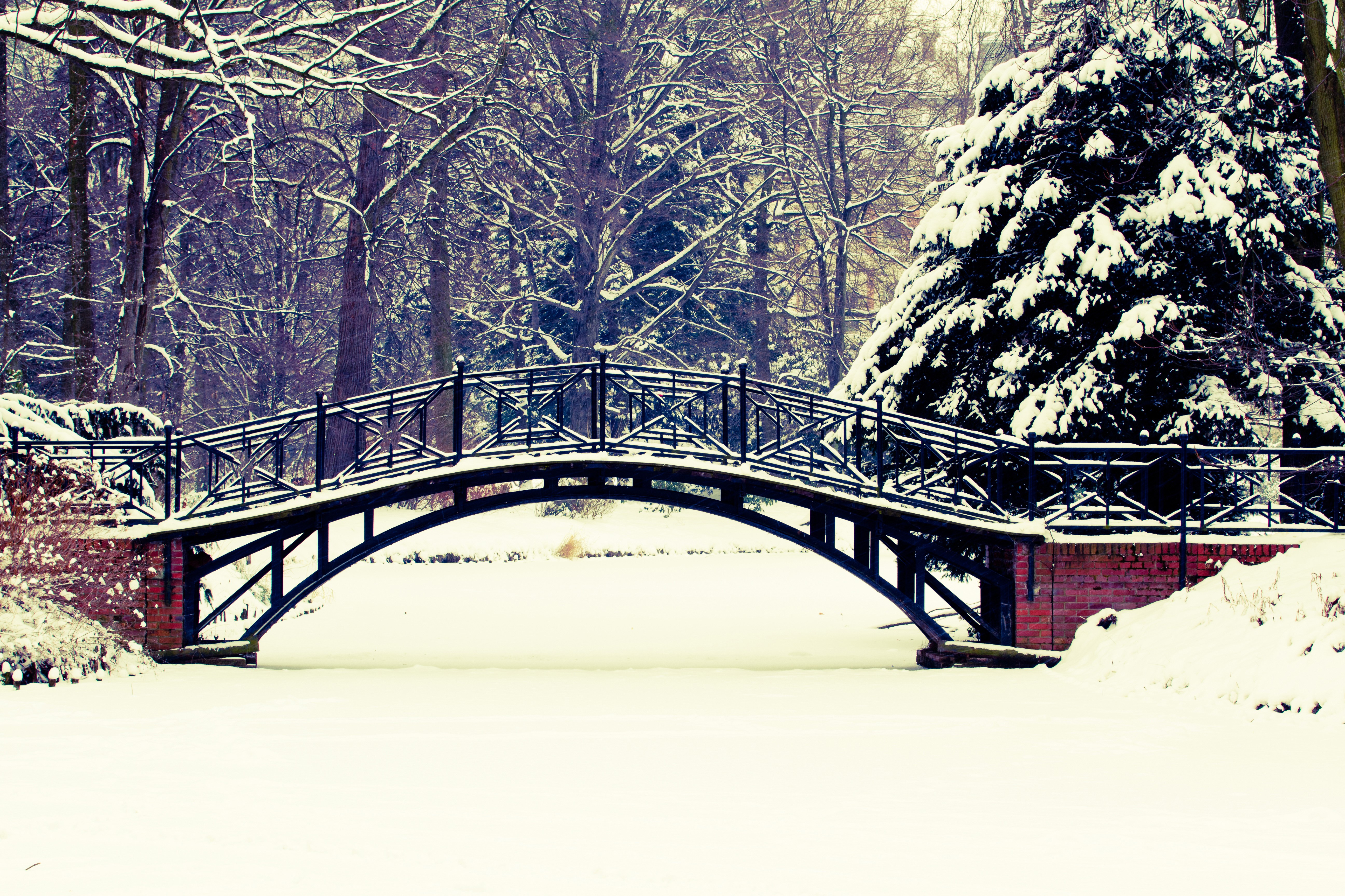 Snowy bridge in a park with trees HD Wallpaper