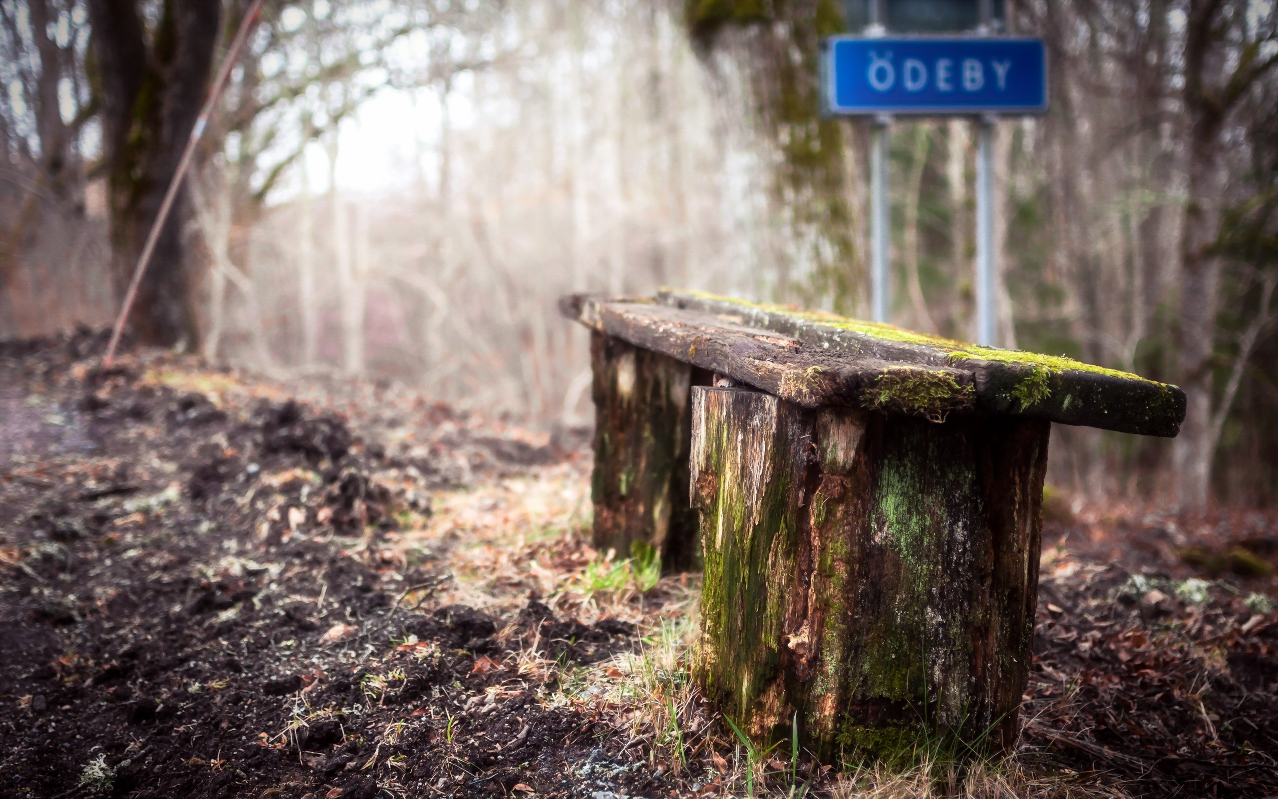 Old mossy bench near ÖDEBY sign HD Wallpaper