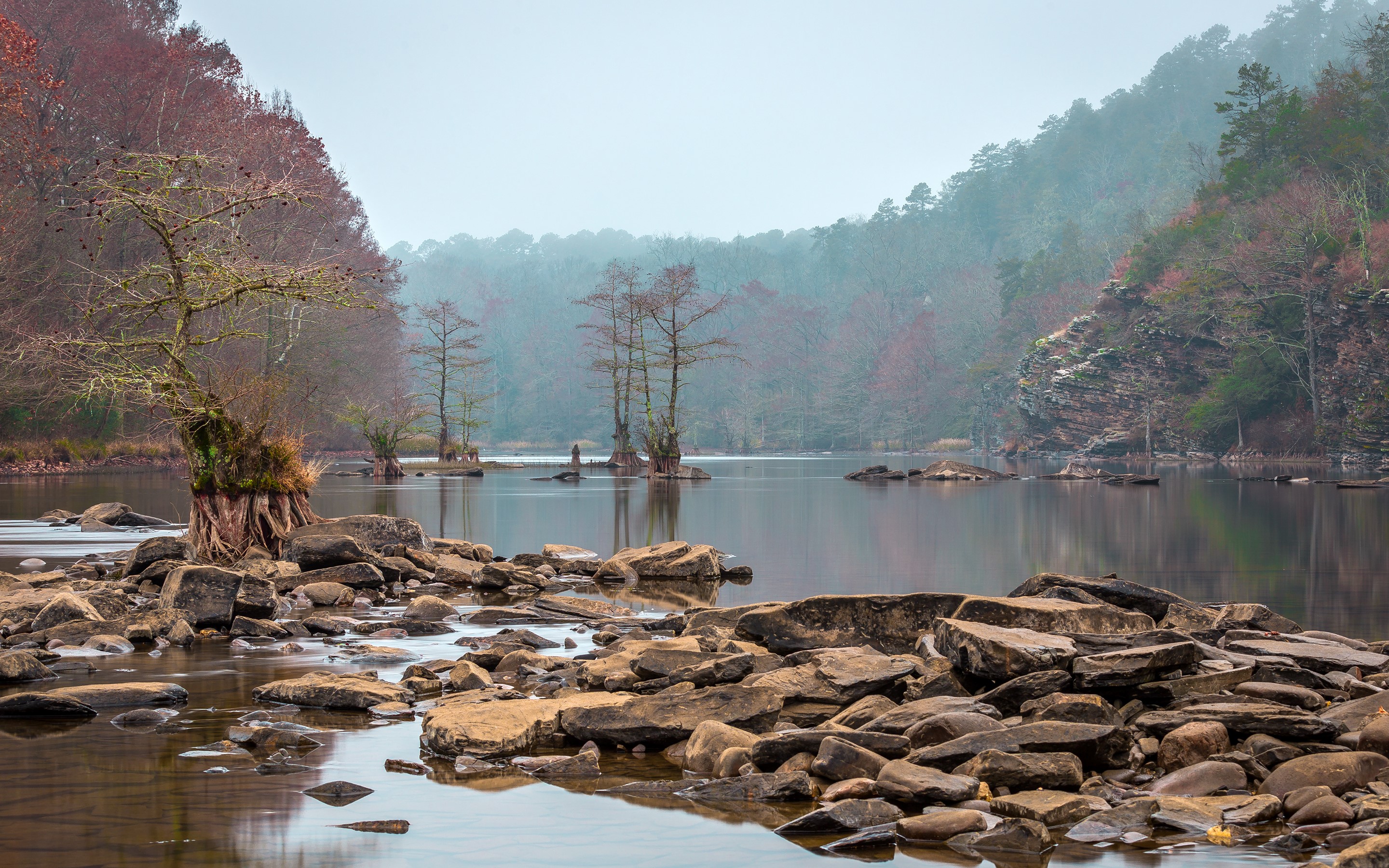 Beavers Bend State Park Oklahoma River with Trees and Rocks HD Wallpaper