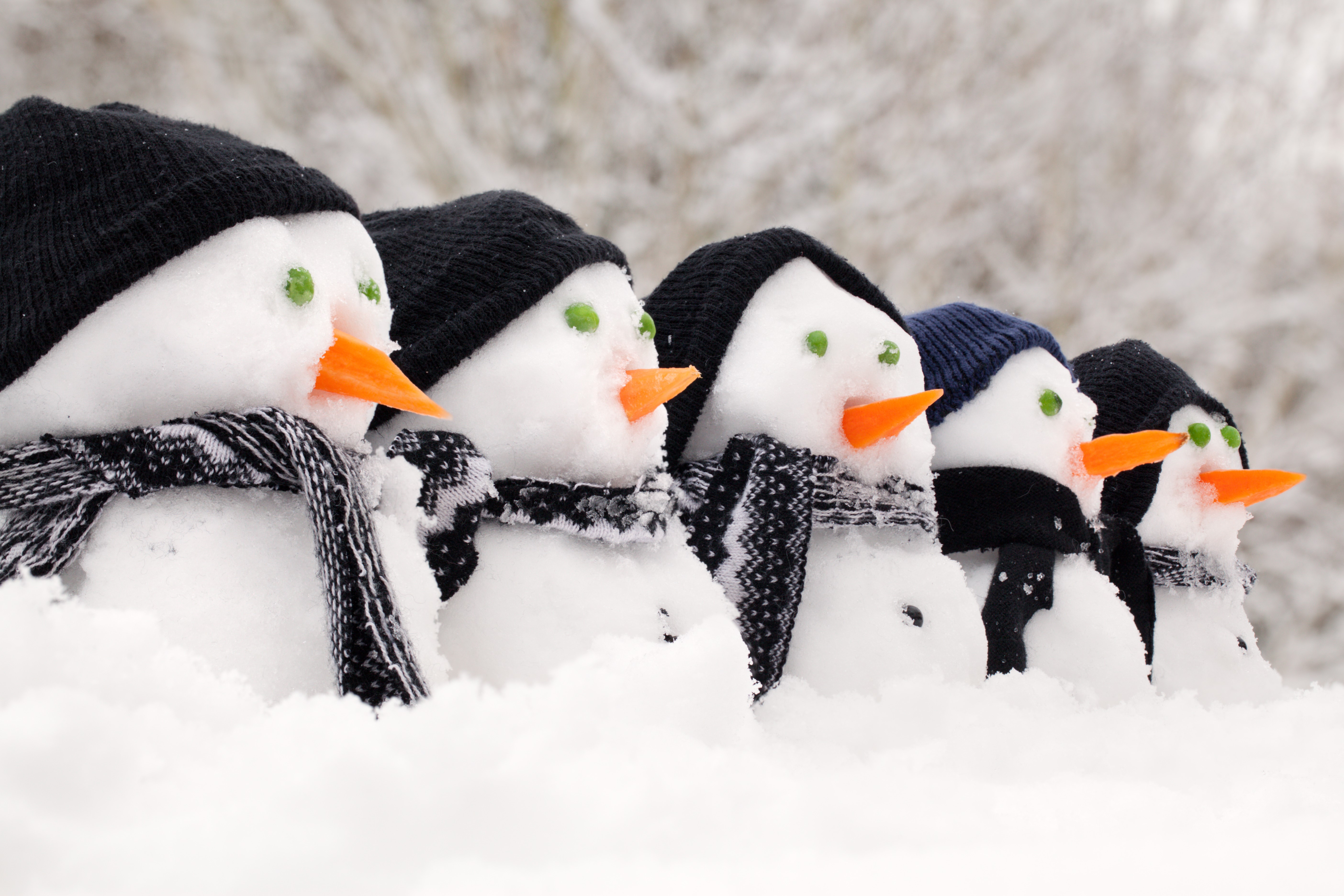 Five snowmen in a row wearing hats and scarves HD Wallpaper