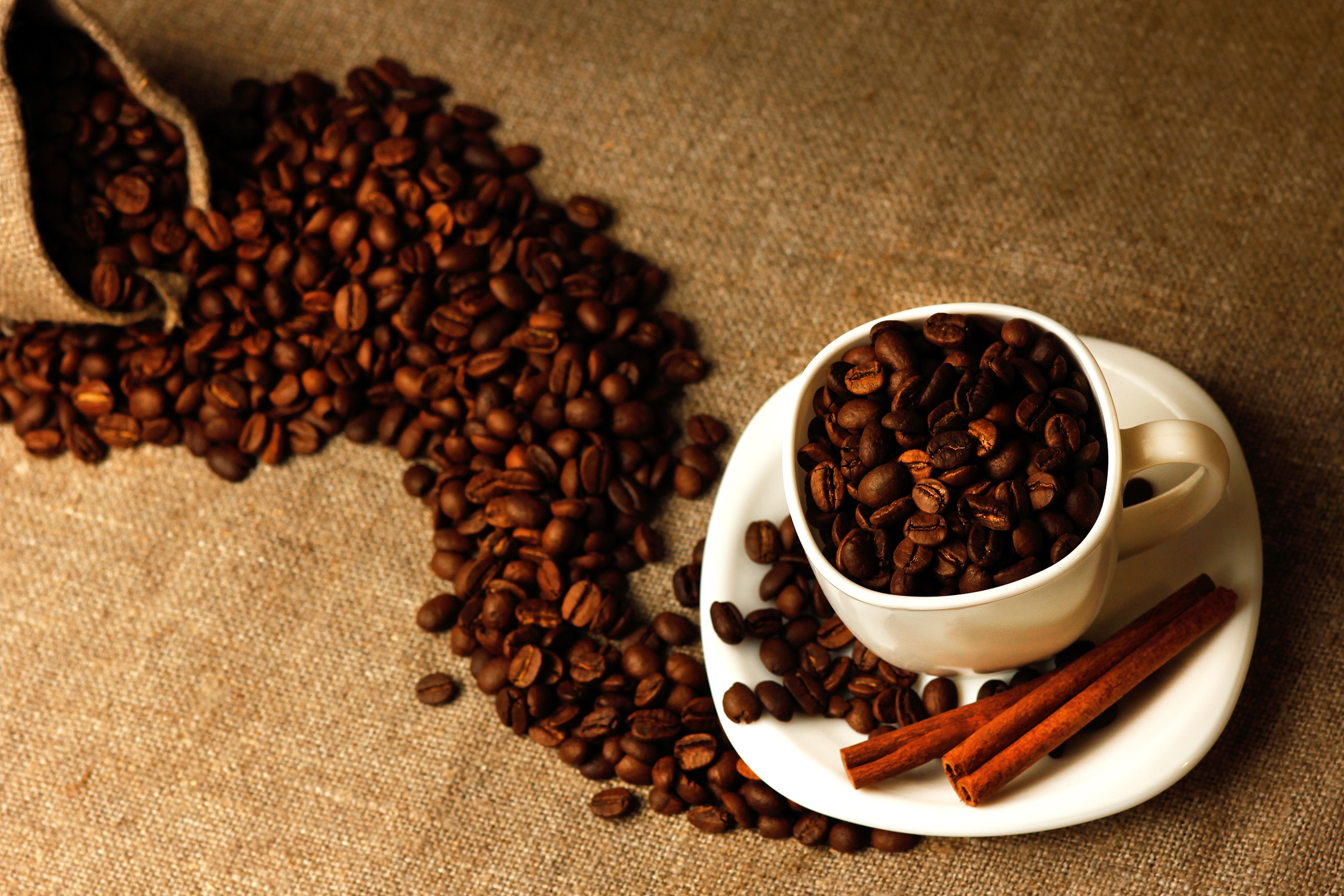 Coffee beans in a cup with cinnamon sticks HD Wallpaper