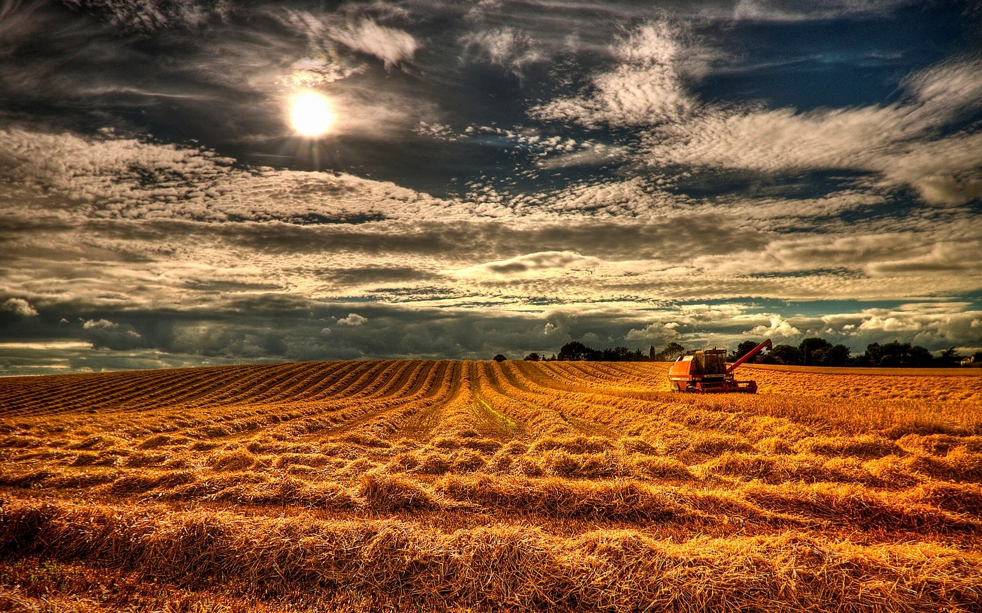 Combine harvester in a golden wheat field under a cloudy sky HD Wallpaper