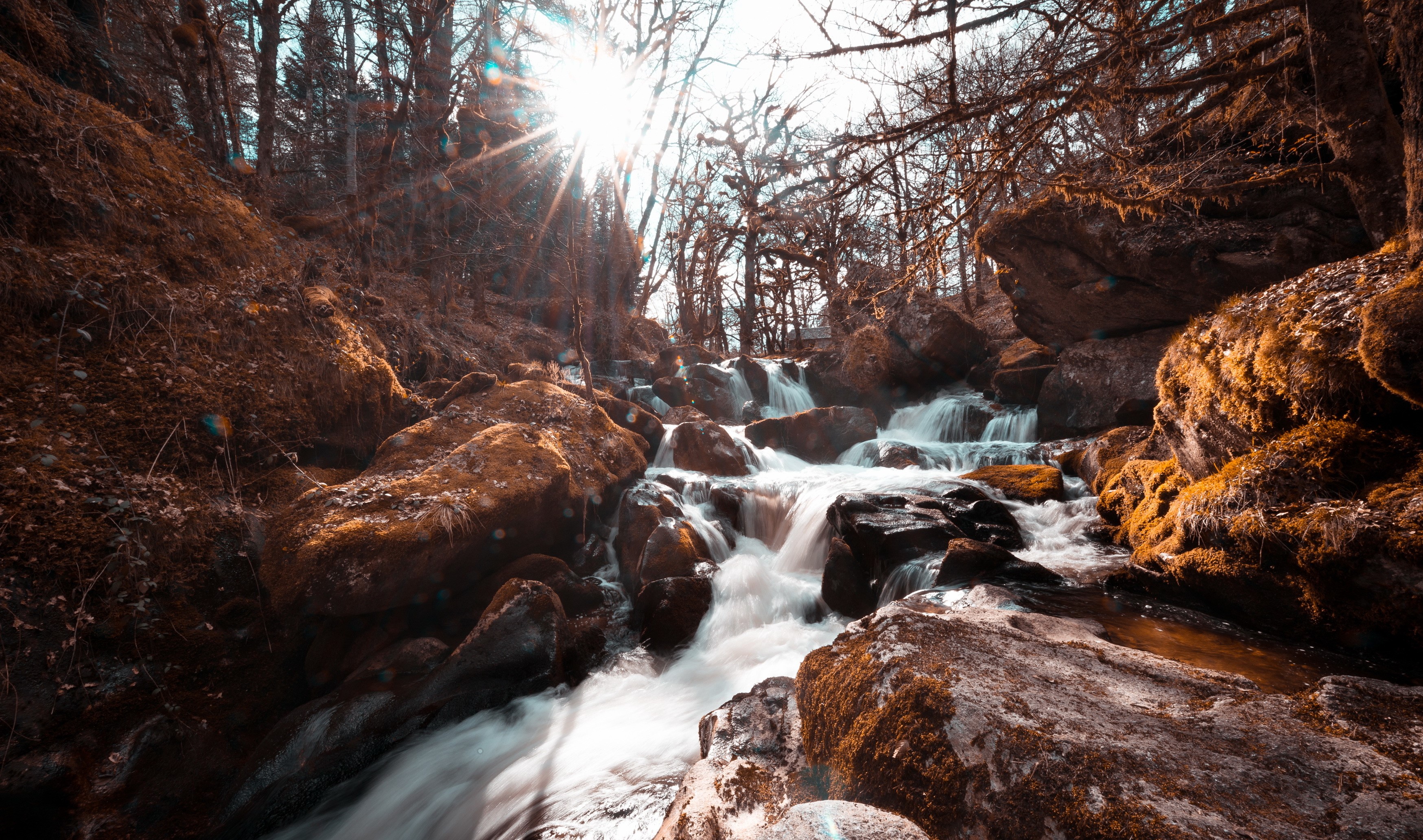 Sunlight streams through trees onto a rocky forest stream HD Wallpaper