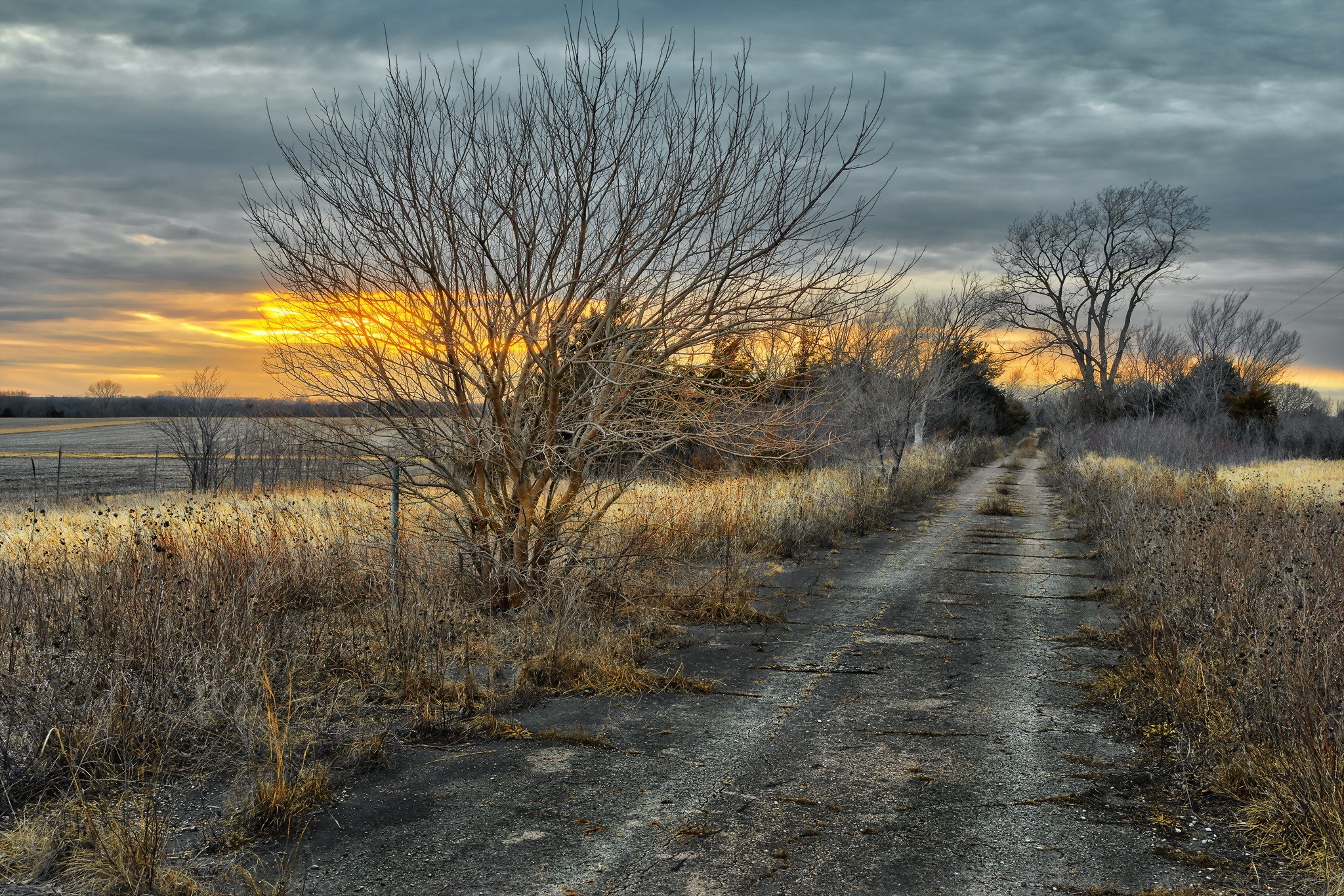 Rural dirt road through fields at sunset HD Wallpaper