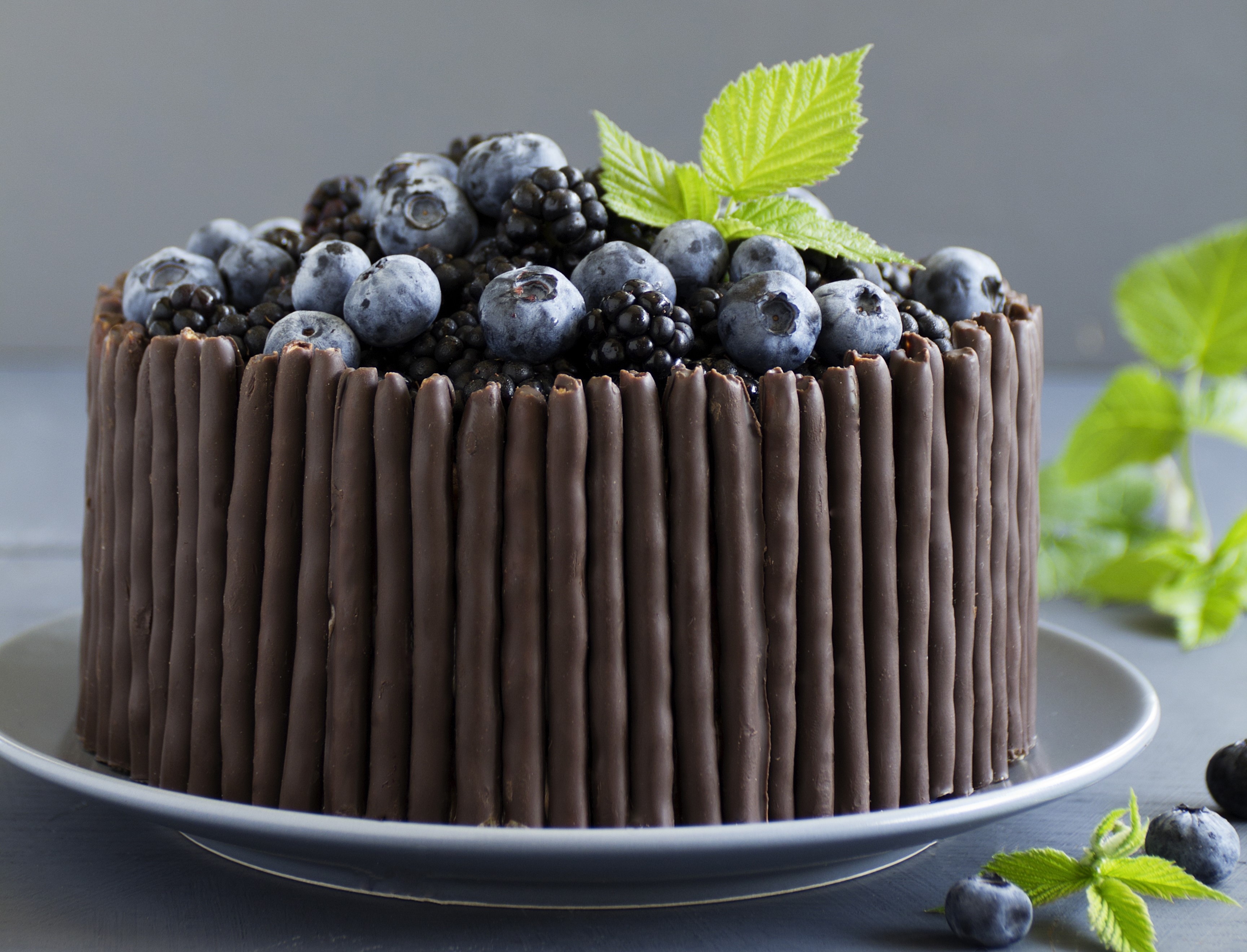 Chocolate cake decorated with blueberries and blackberries HD Wallpaper