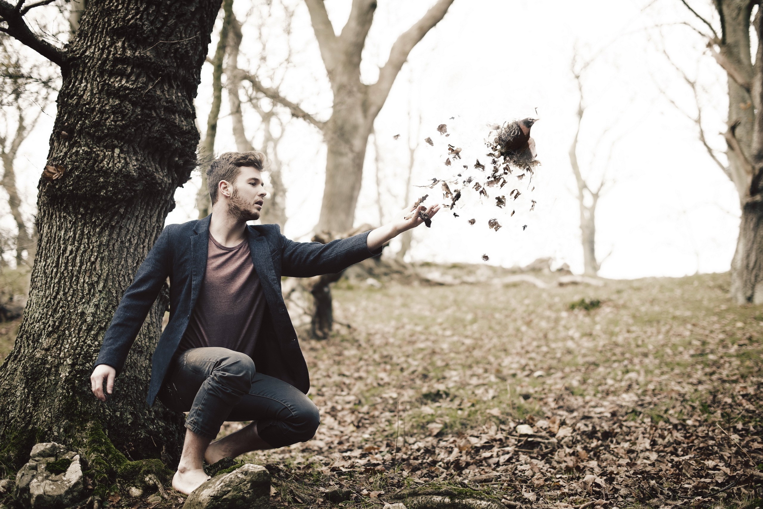 Man in a suit throwing leaves in a forest HD Wallpaper