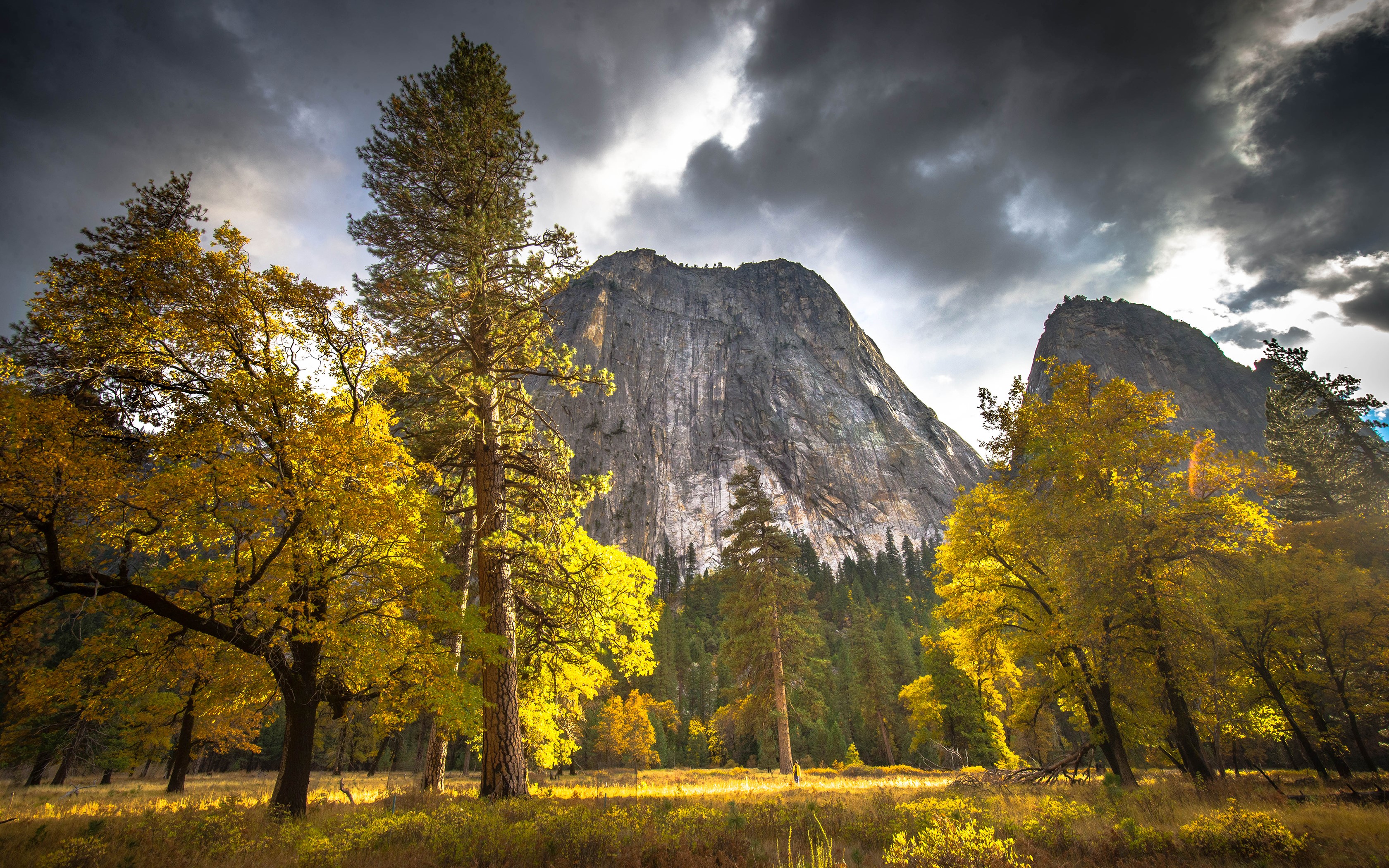 Yosemite National Park in Autumn HD Wallpaper