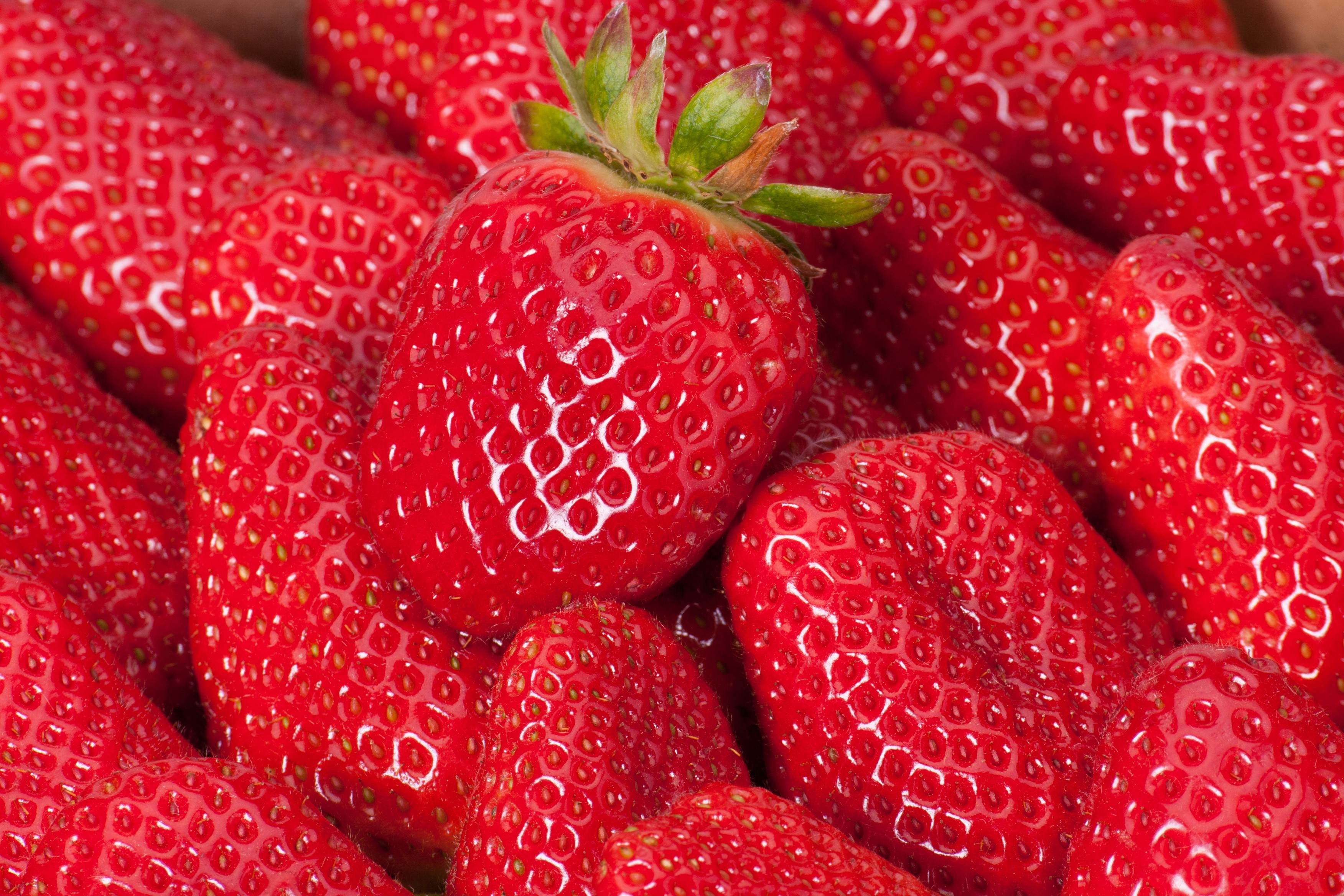 Close-up of fresh red strawberries HD Wallpaper