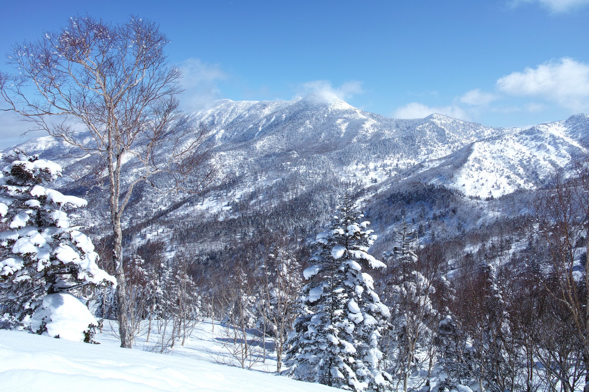 Snow-covered mountains and trees under a blue sky HD Wallpaper