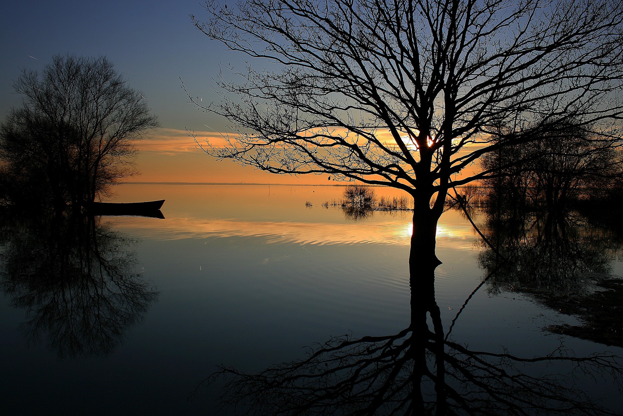 Silhouette of trees and a boat on a lake at sunset HD Wallpaper