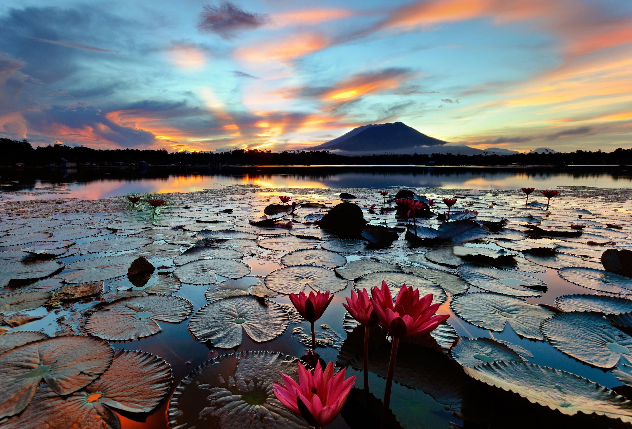Lake with Water Lilies and Mountain at Sunset HD Wallpaper