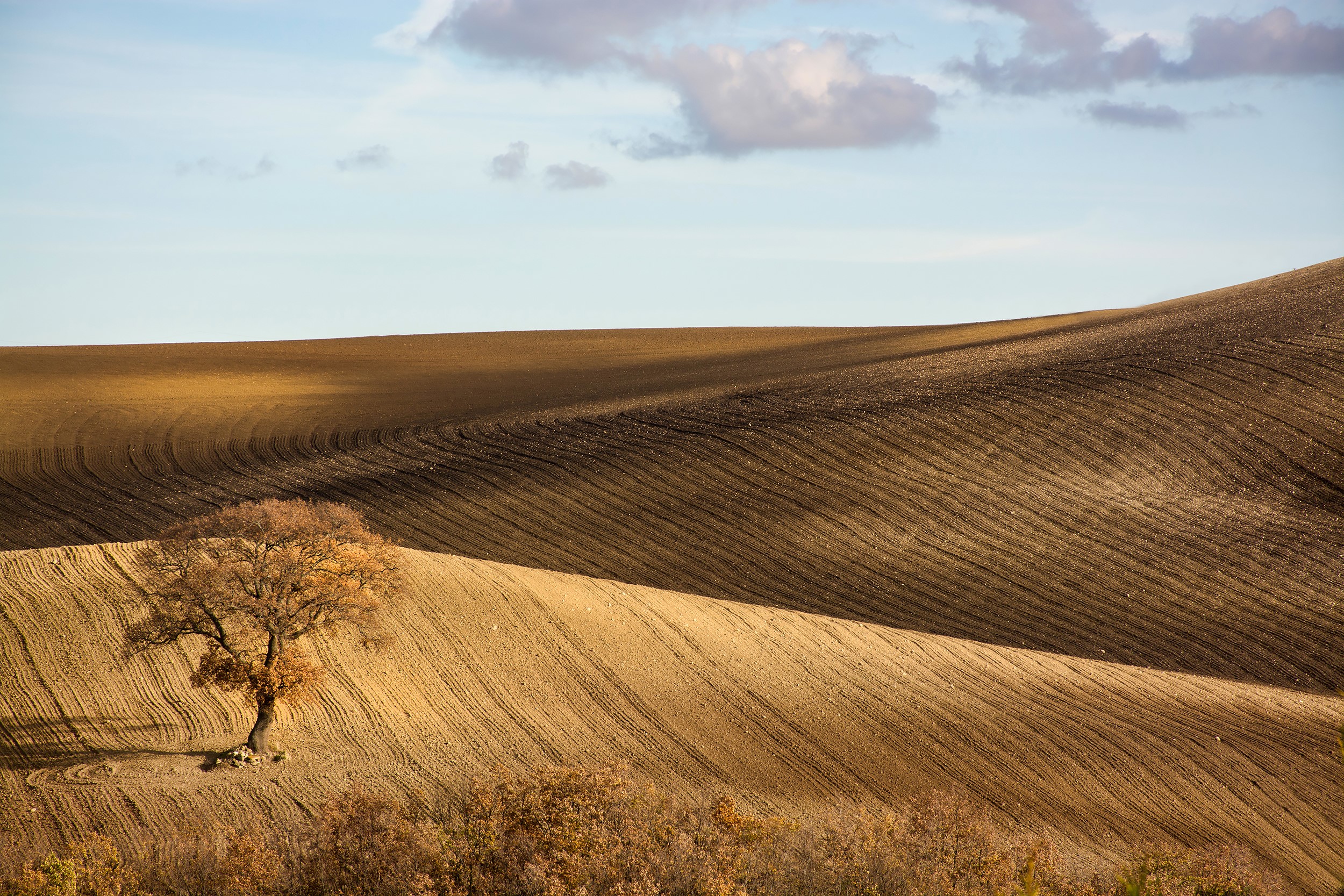 Ploughed fields and a lone tree in Monti Prenestini, Italy HD Wallpaper