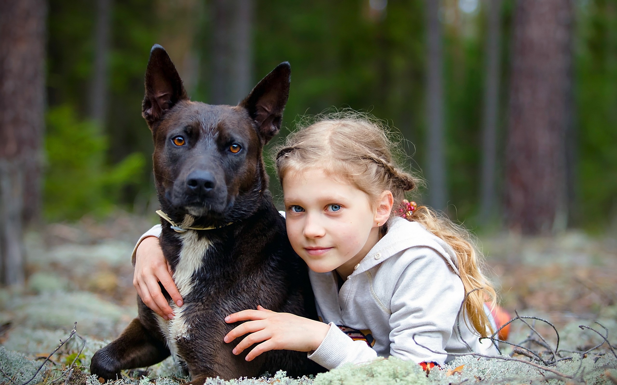Girl and dog in a forest HD Wallpaper