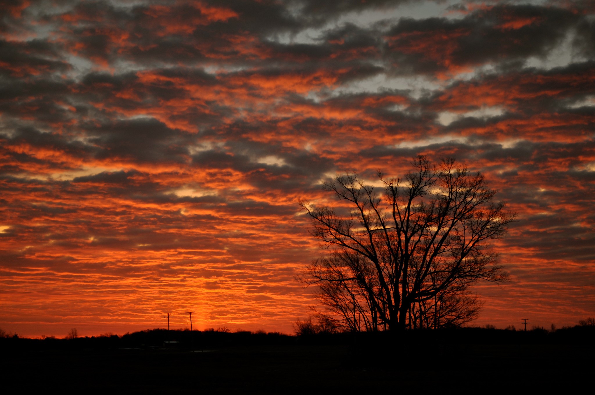 Sunset with silhouetted tree and clouds HD Wallpaper