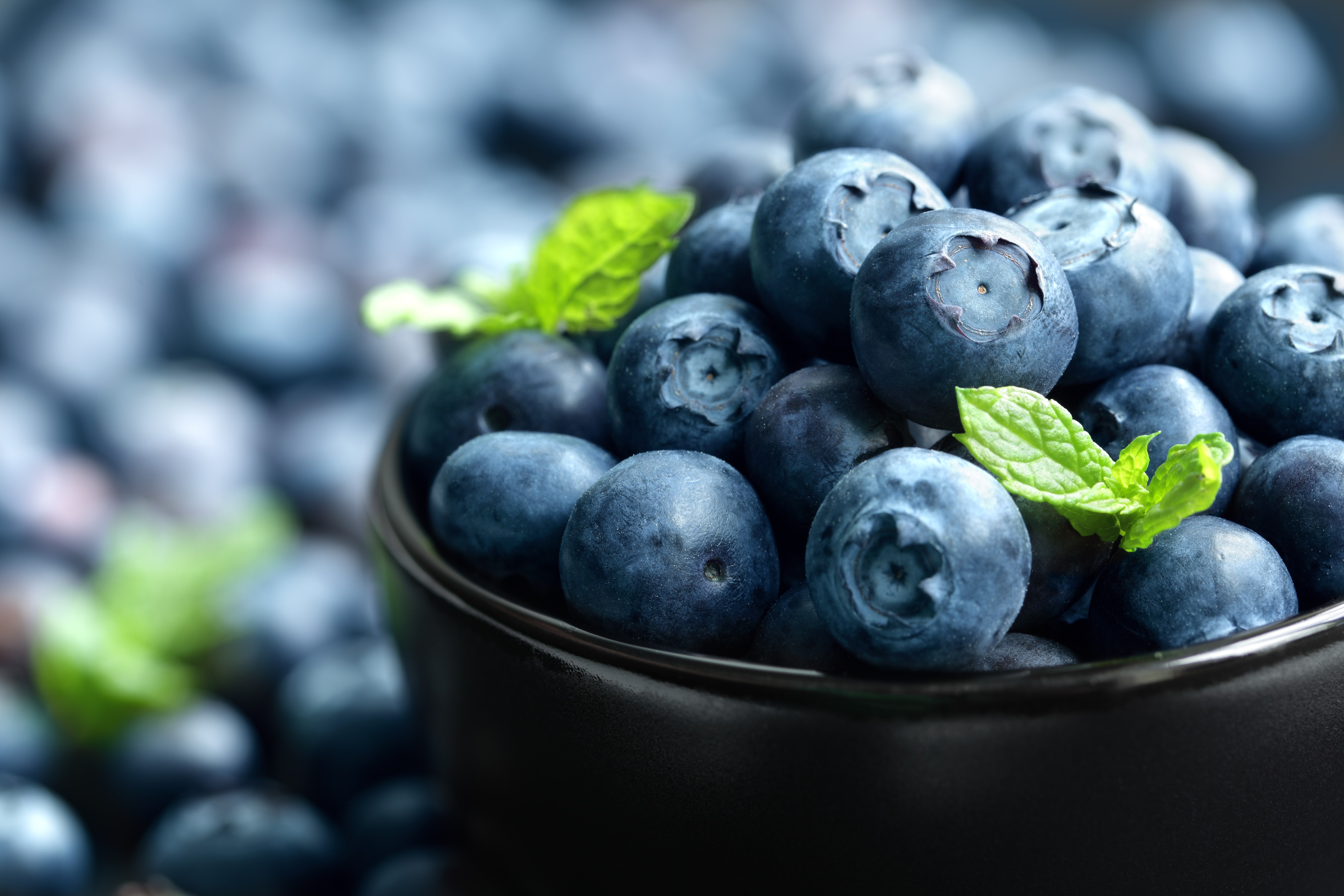 Blueberries in a bowl with mint leaves HD Wallpaper