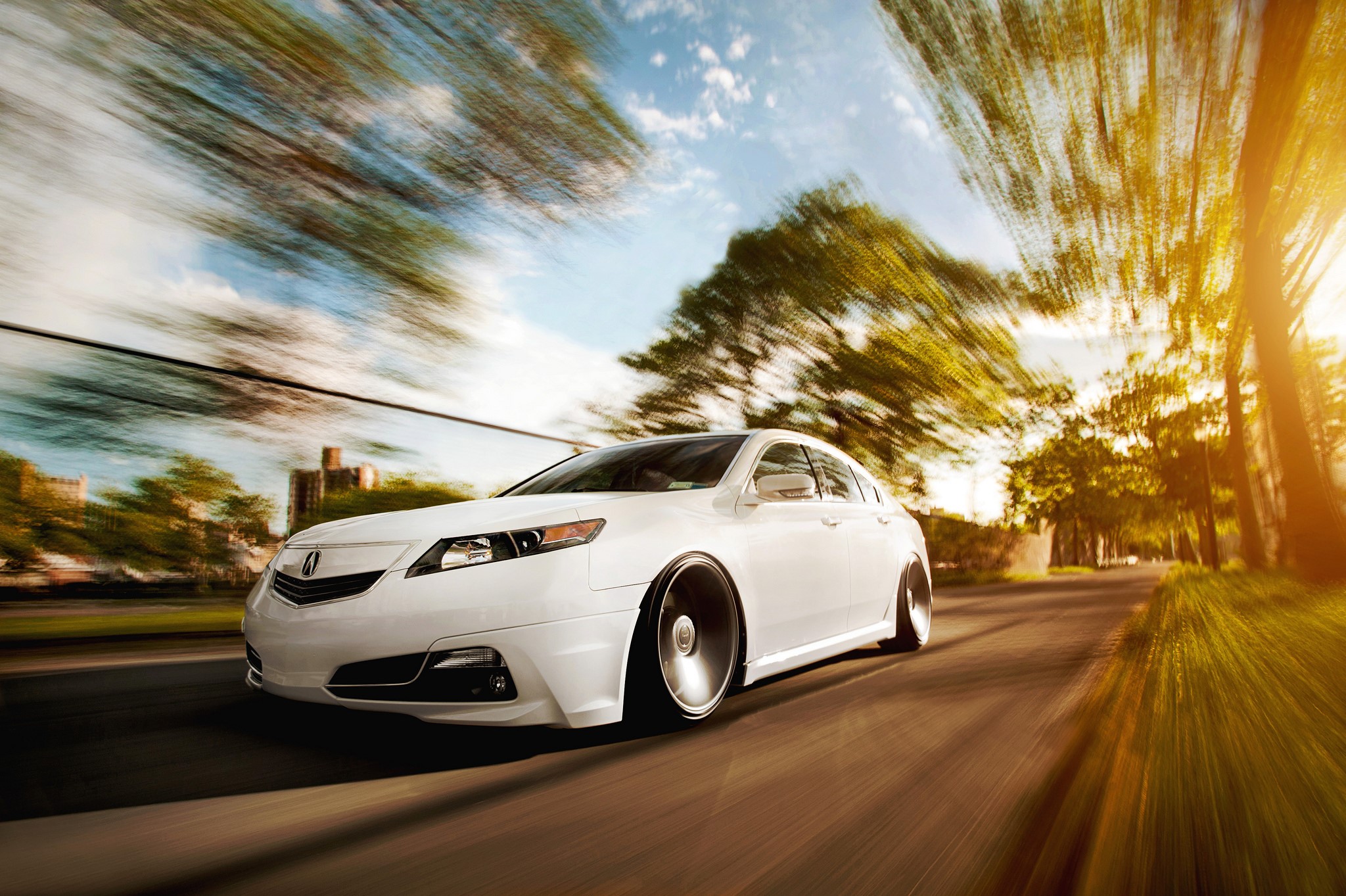 White Acura TSX driving on a tree-lined road HD Wallpaper