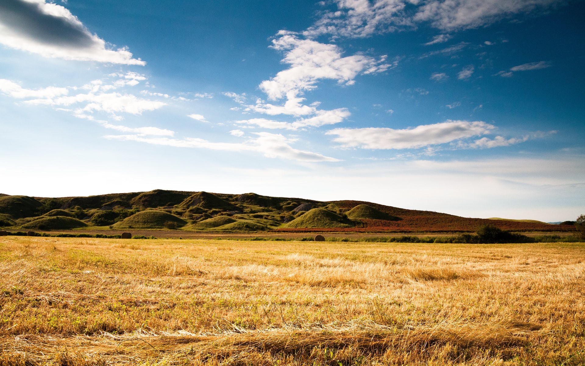 Golden fields and rolling hills under a blue sky HD Wallpaper