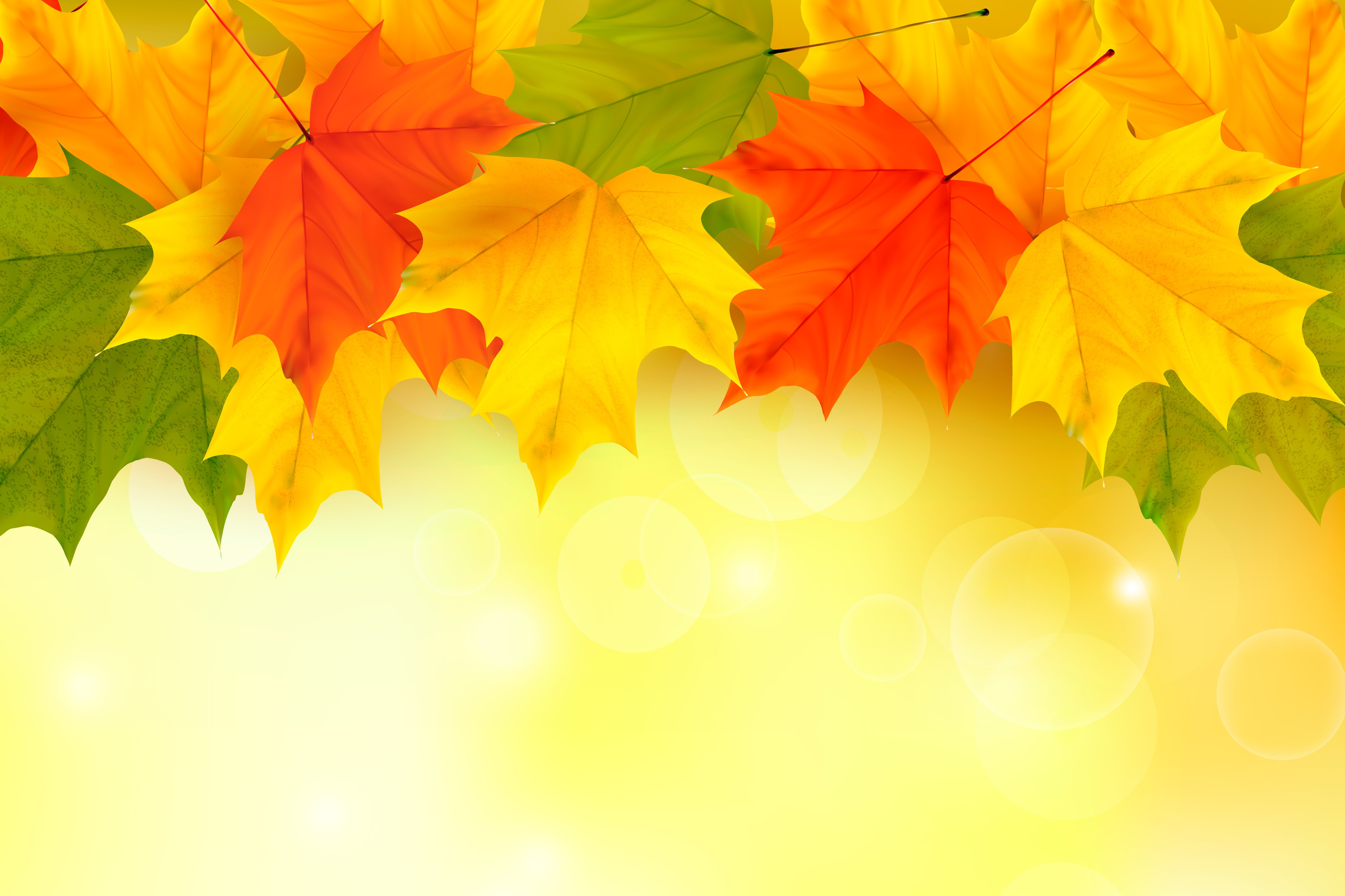 Autumn Maple Leaves HD Wallpaper