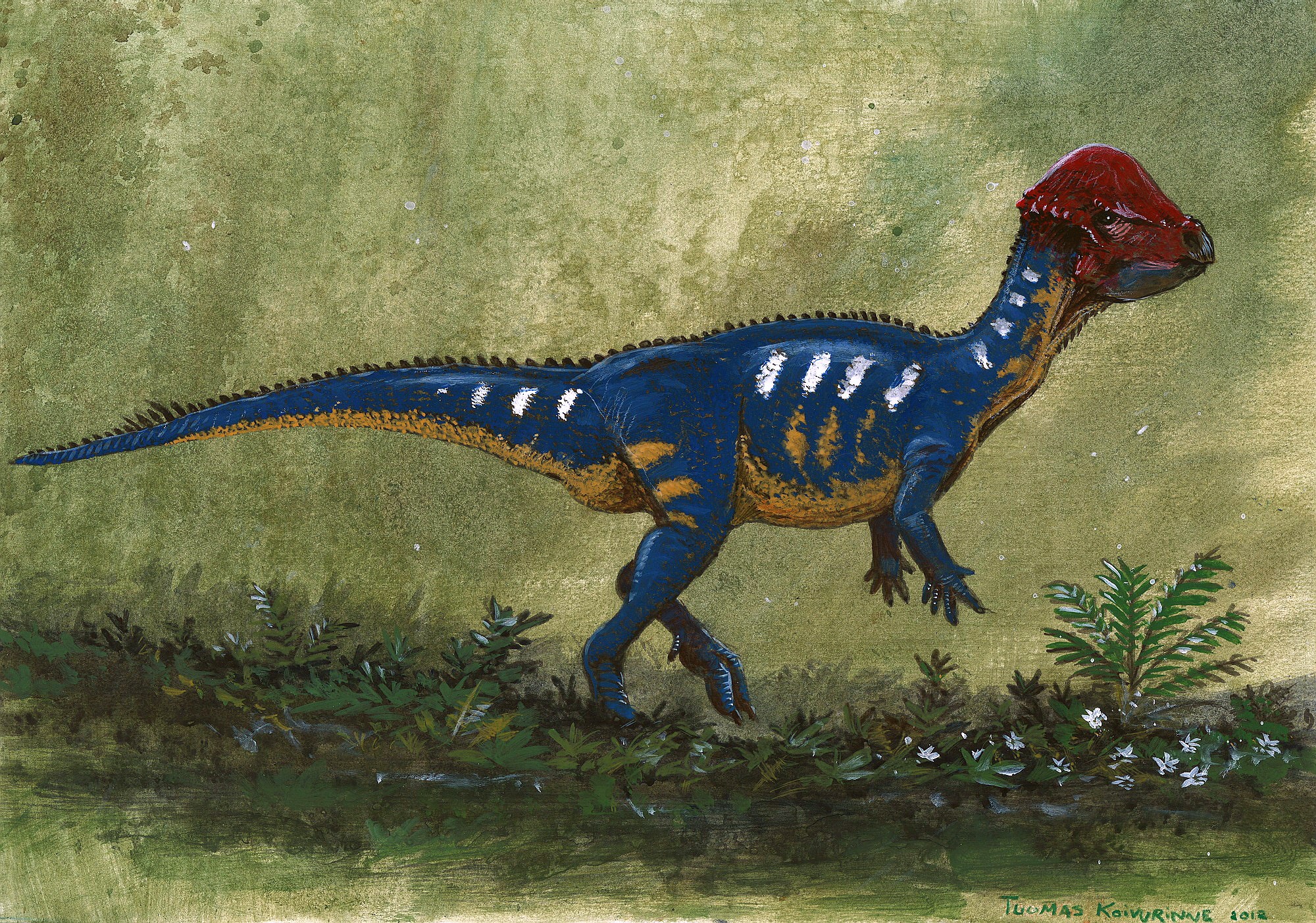 Prenocephale dinosaur in a prehistoric landscape HD Wallpaper