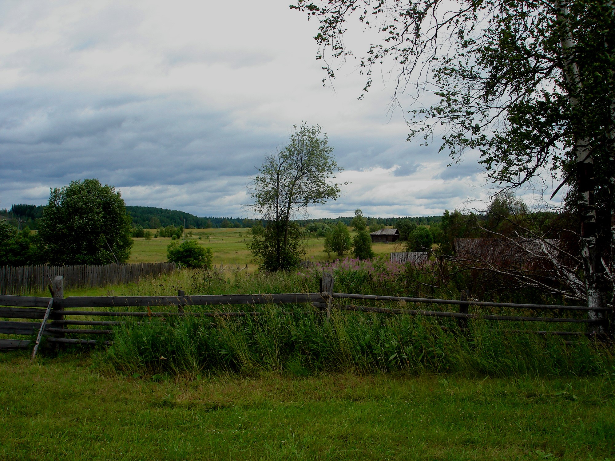 Wooden fence in a grassy field with trees and houses HD Wallpaper