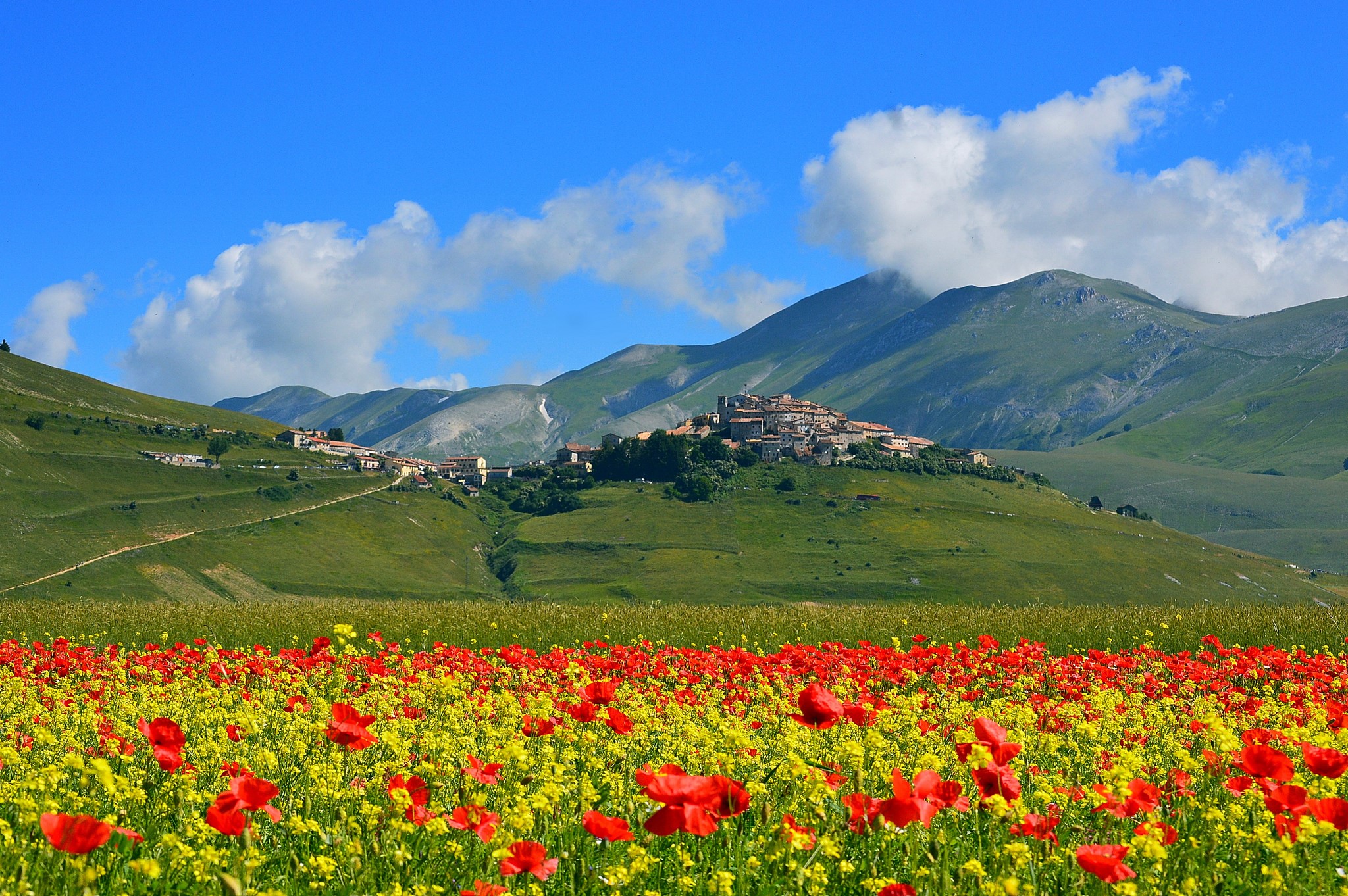 Castelluccio Di Norcia Village With Poppy Fields And Mountains Hd Castelluccio Di Norcia Village With Poppy Fields And Mountains Hd