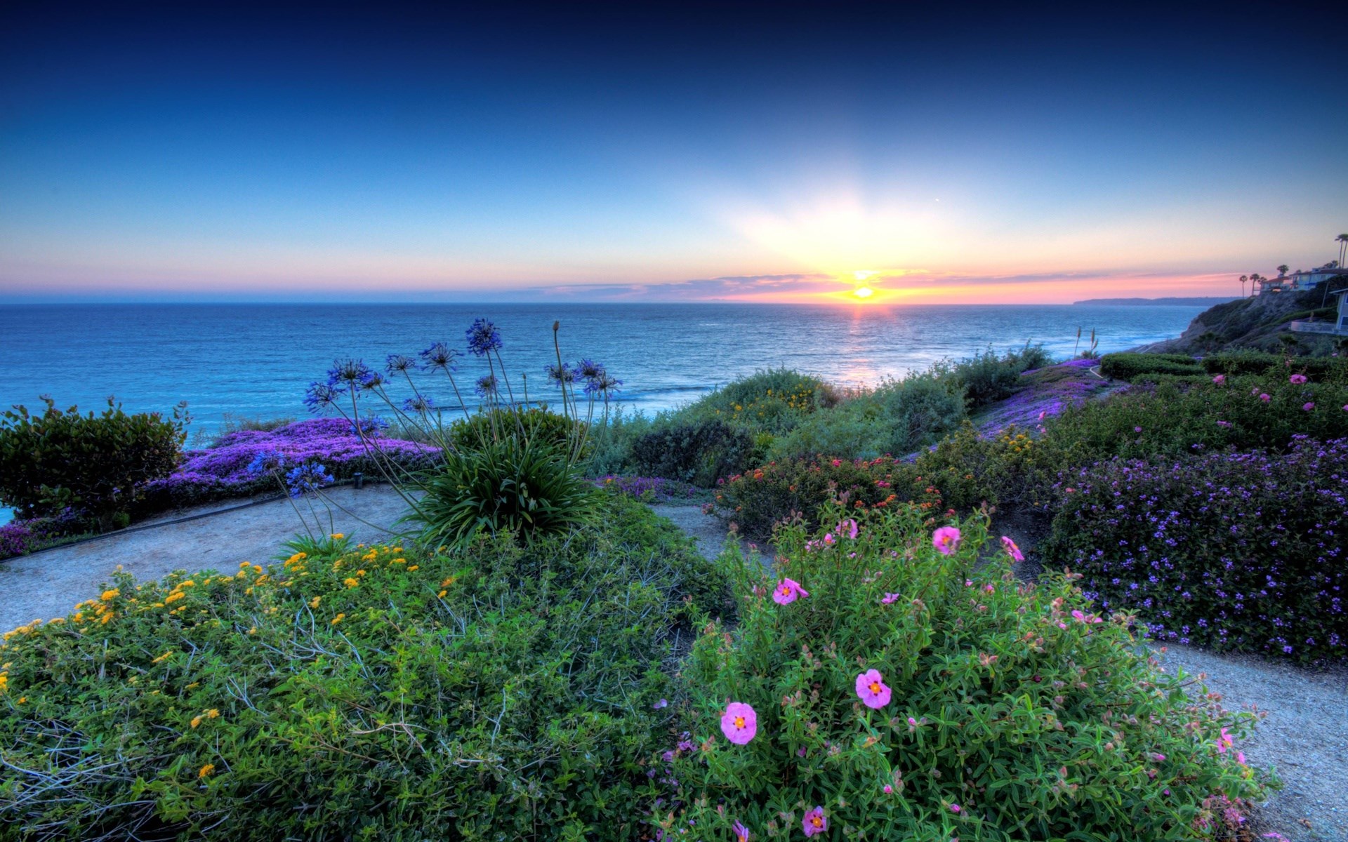 Coastal garden with ocean sunset HD Wallpaper