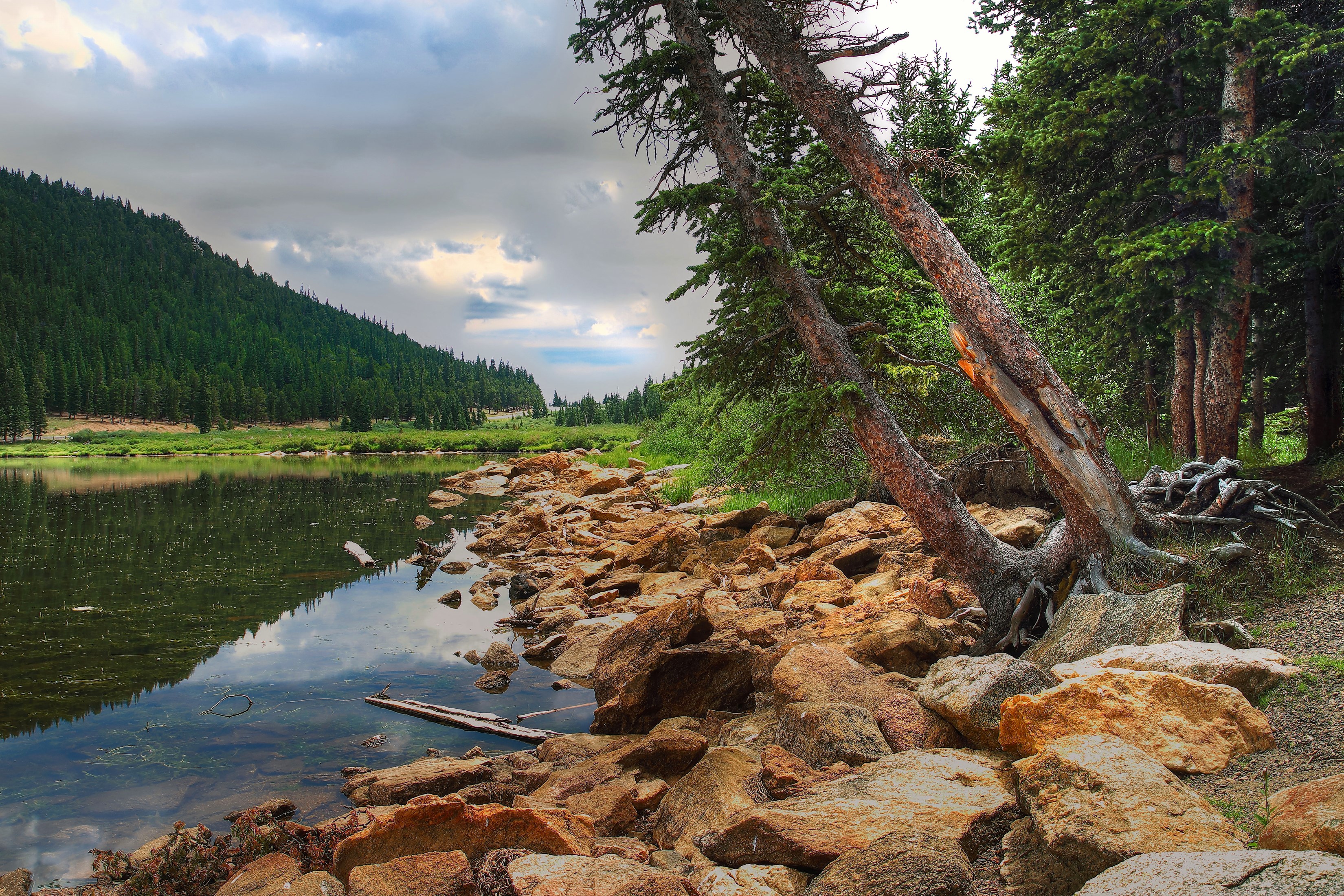 Rocky lake shore with pine forest and cloudy sky HD Wallpaper