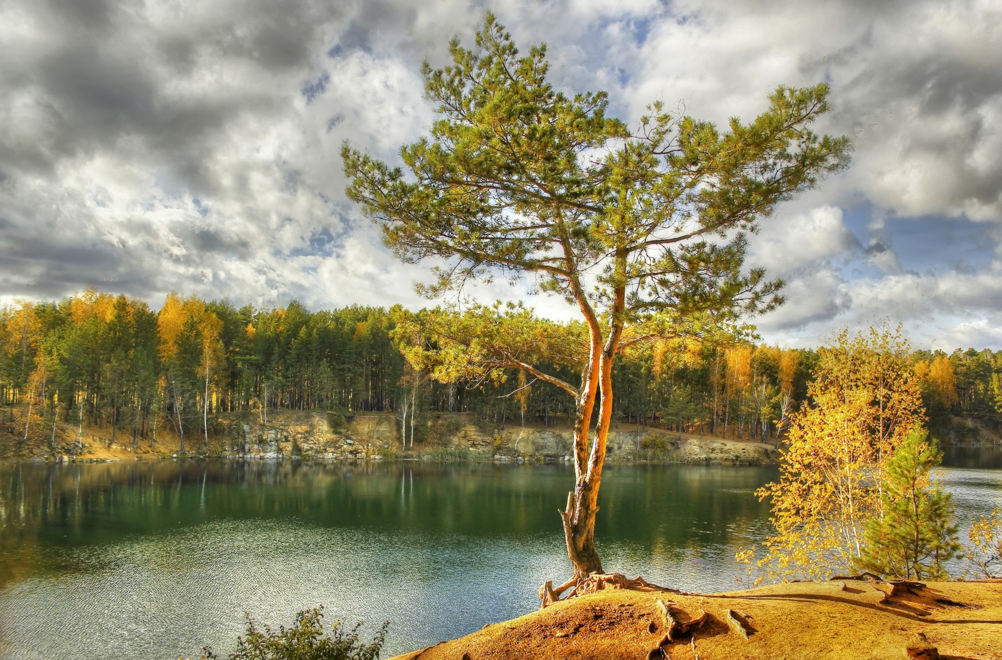 Autumn lake with pine tree and colorful forest HD Wallpaper