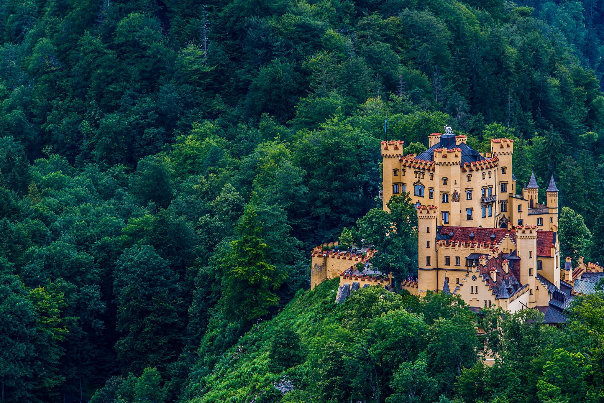 Hohenschwangau Castle in Bavaria, Germany HD Wallpaper