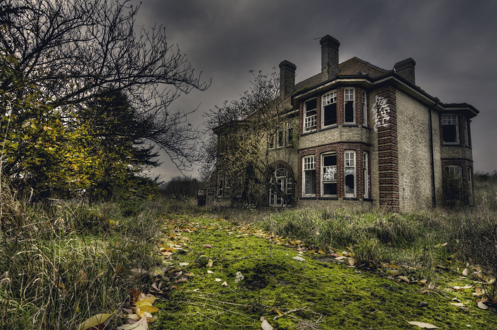 Abandoned brick house with broken windows and overgrown yard HD Wallpaper