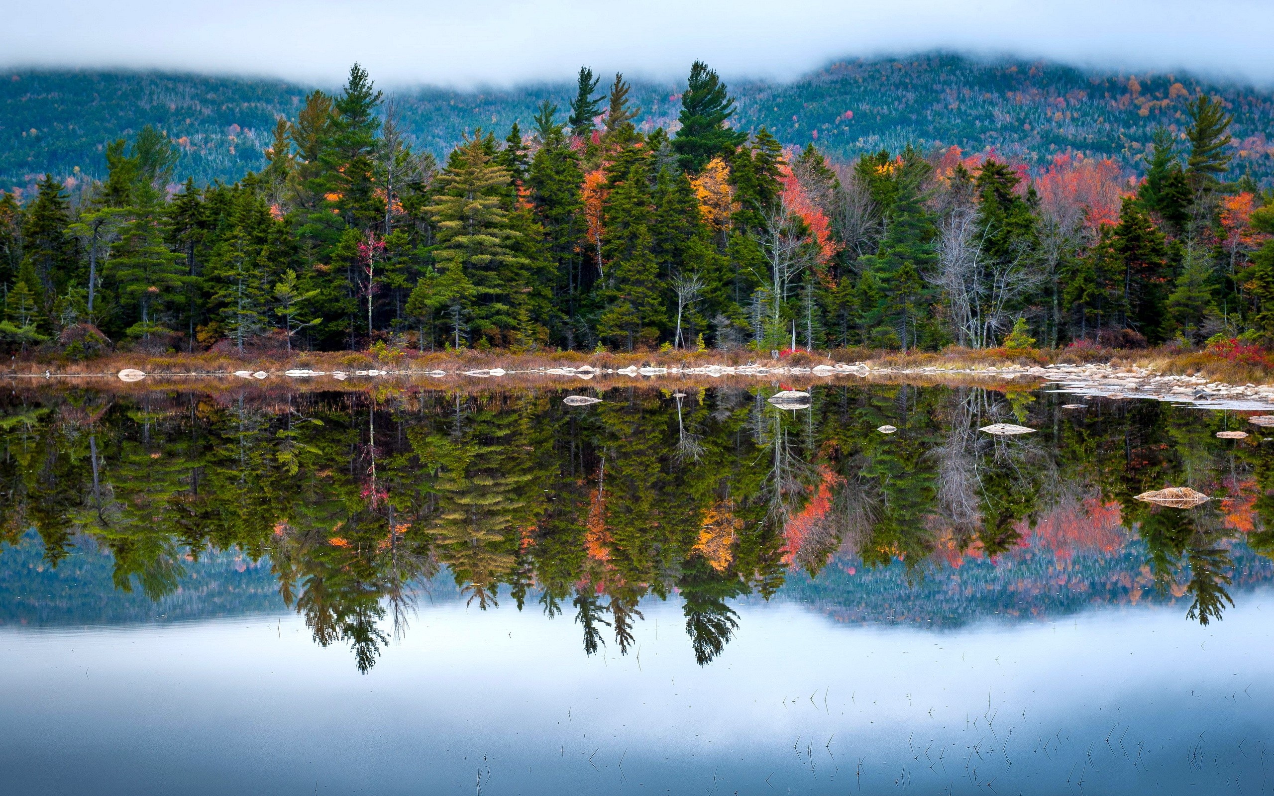 Autumn forest reflected in a calm lake HD Wallpaper
