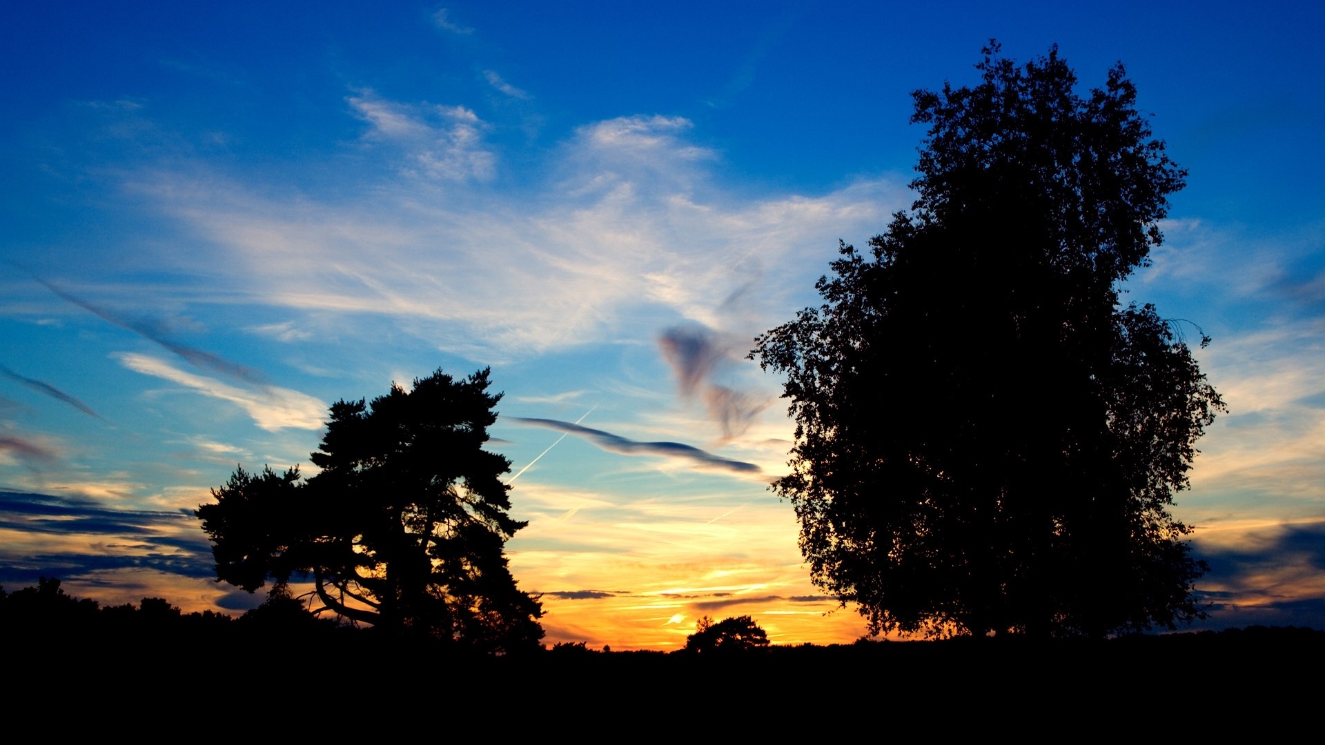 Silhouette of trees against a sunset sky HD Wallpaper